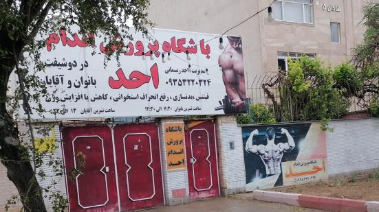 باشگاه بدنسازی احد