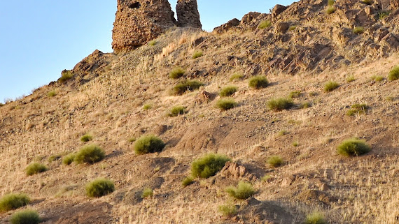 میل چاهک