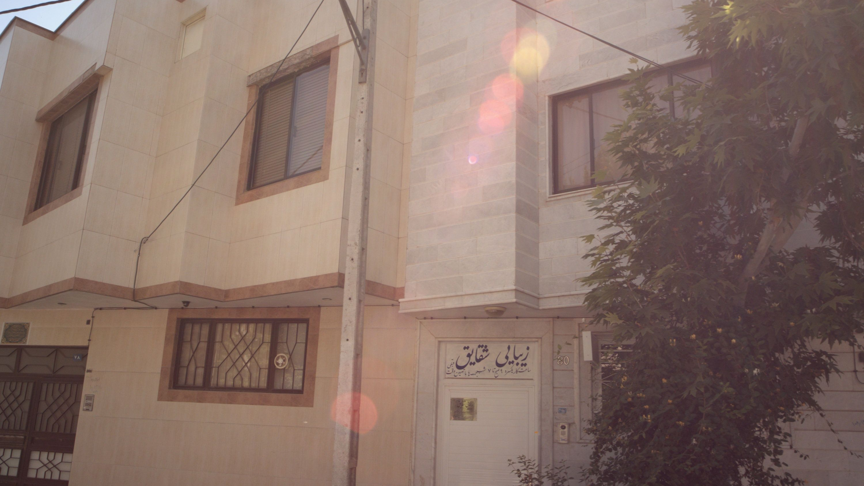 زیبایی شقایق