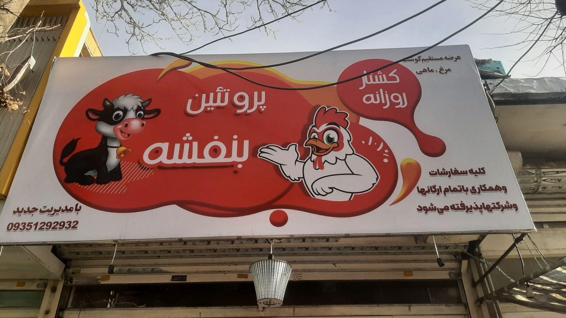 پروتئین بنفشه