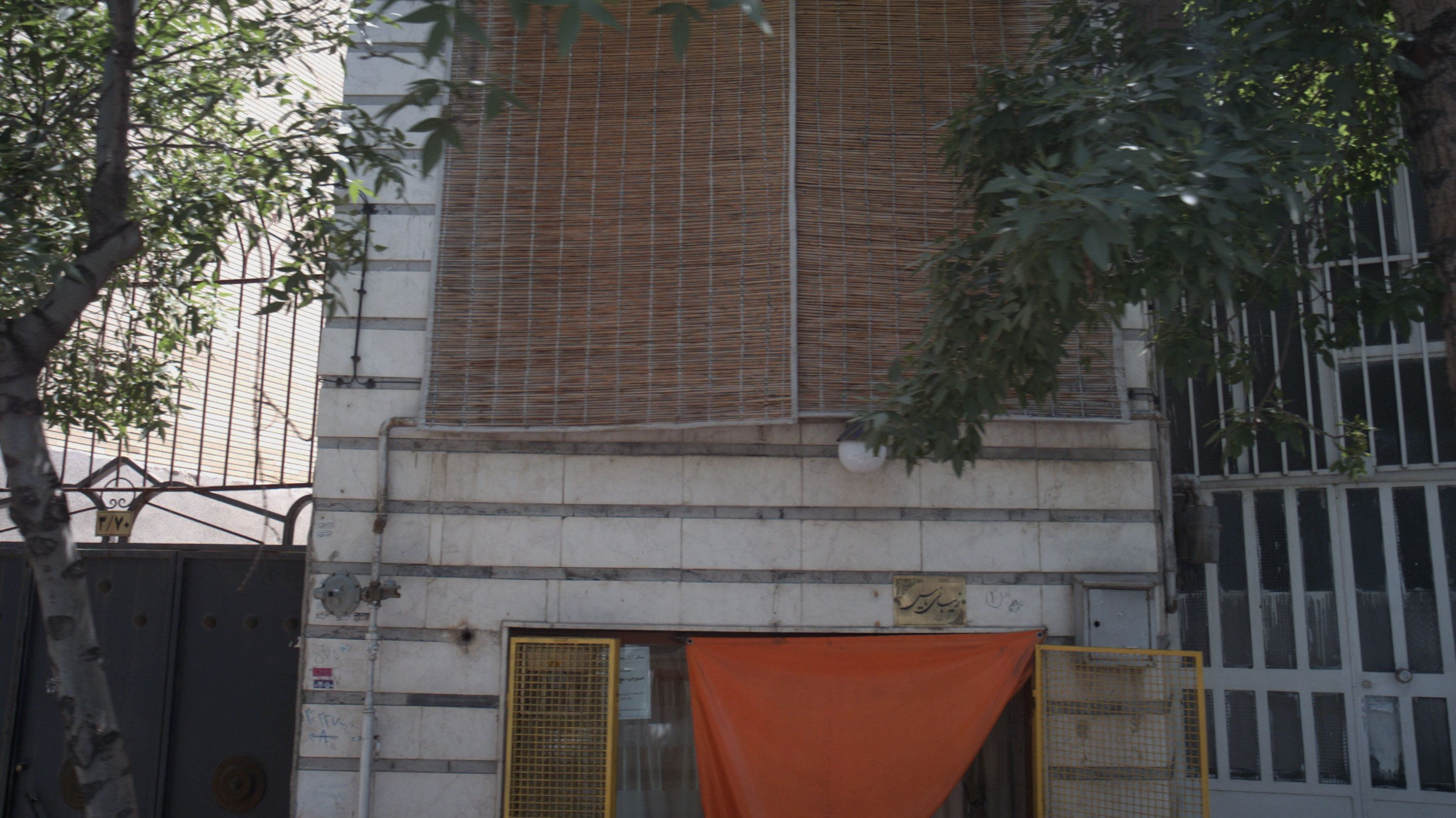 زیبایی یاس