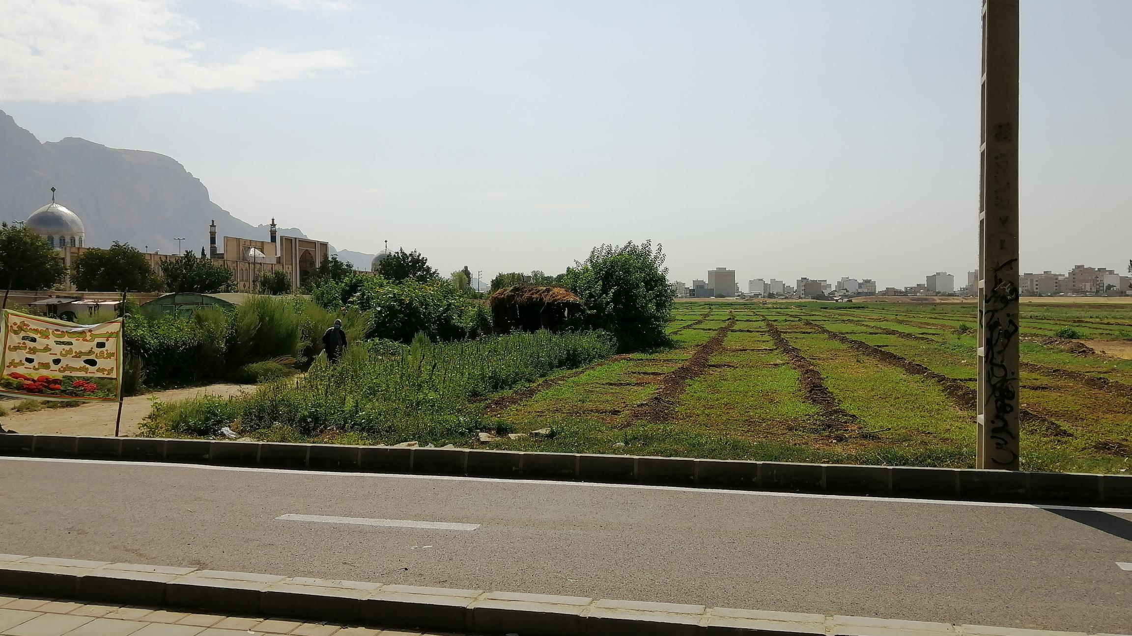 سبزی فروشی موسوی