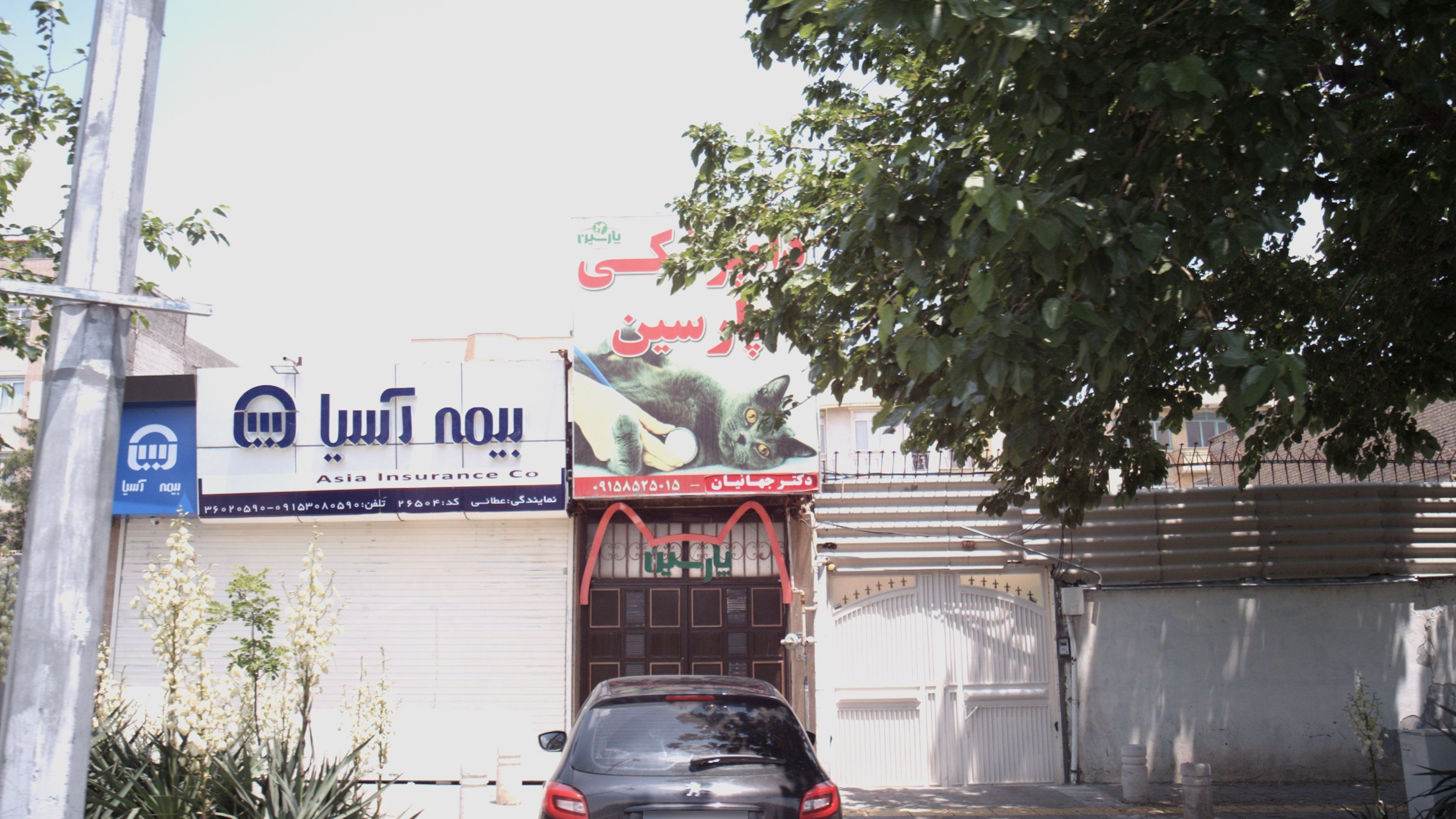 بیمه آسیا
