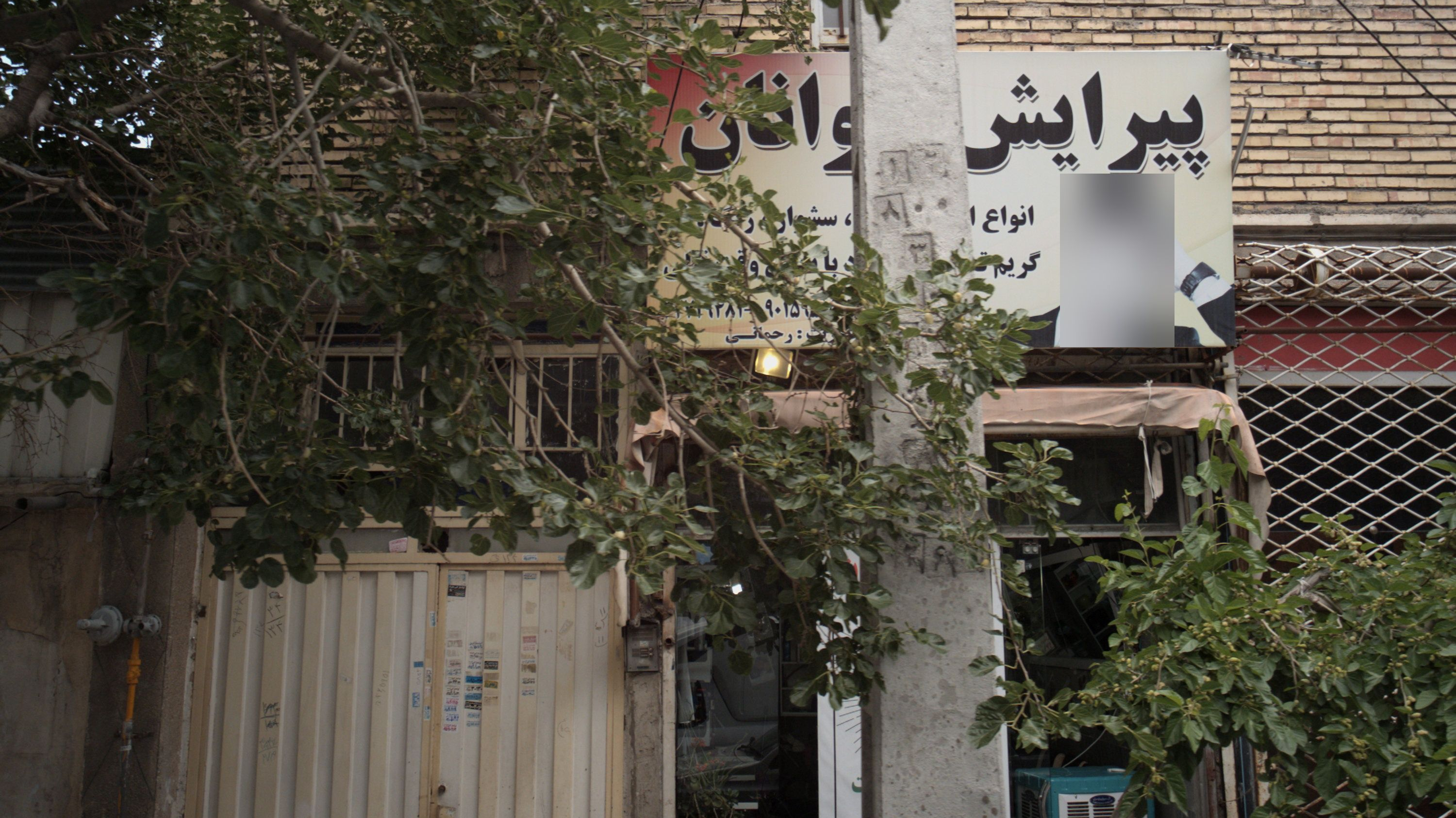 پیرایش جوانان