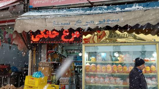 مرغ فروشی قهرمانزاده