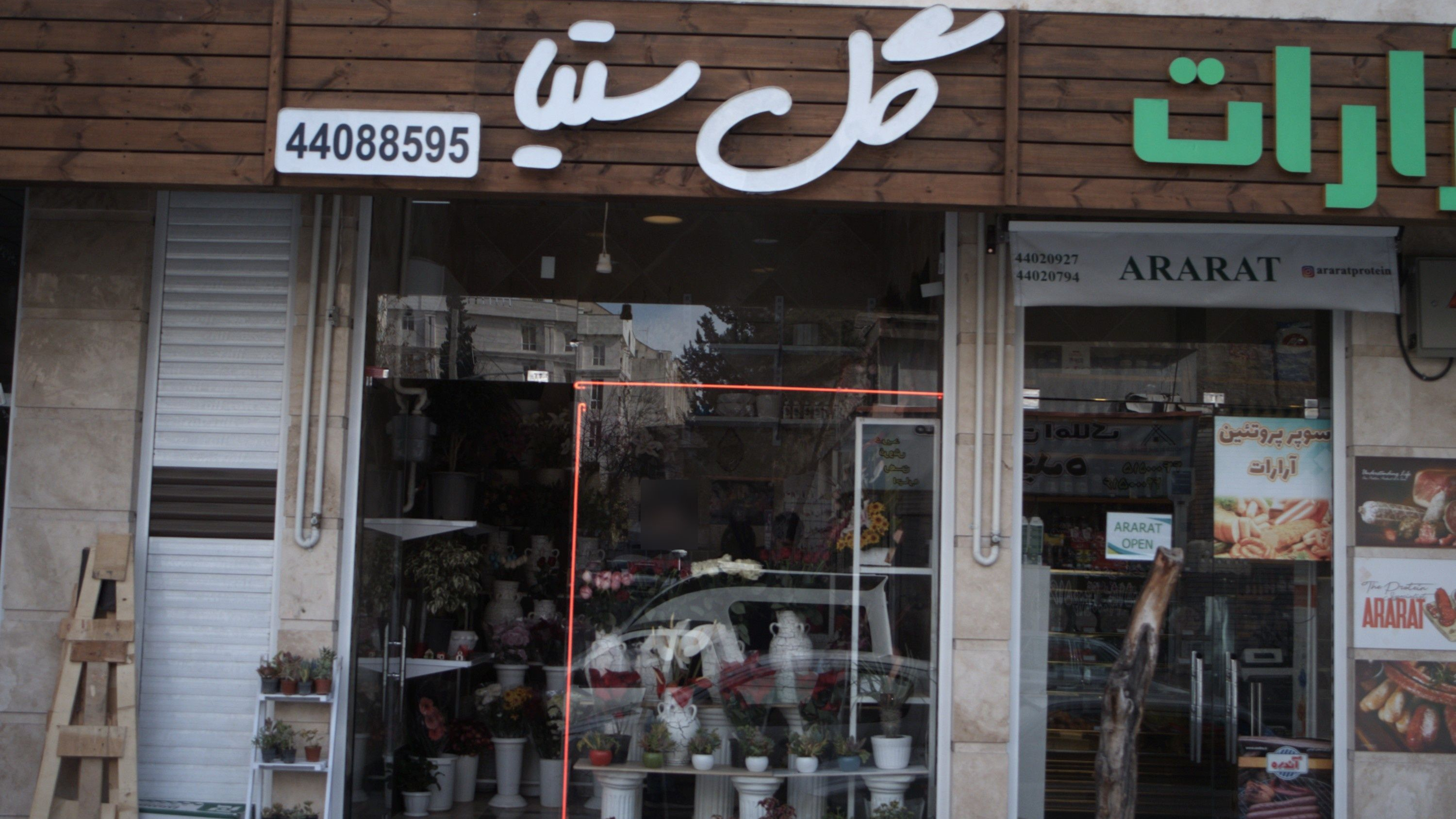 گل ستیا