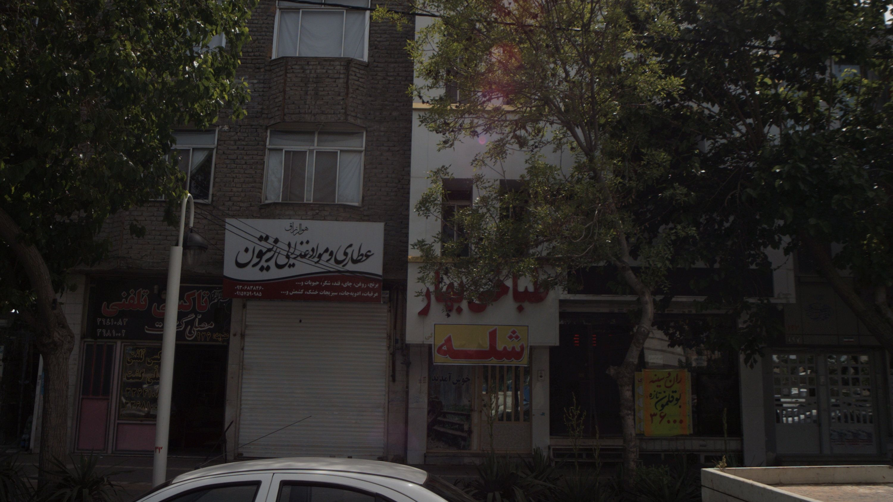 عطاری و مواد غذایی زیتون