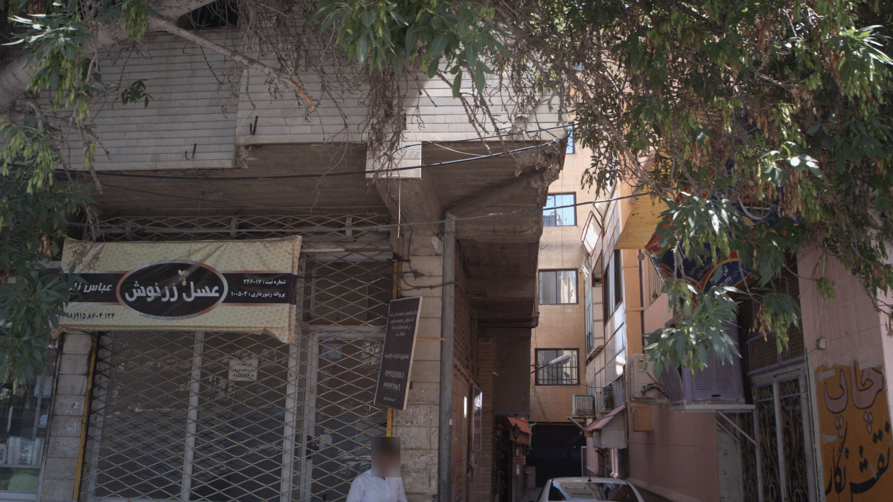 عسل زرنوش
