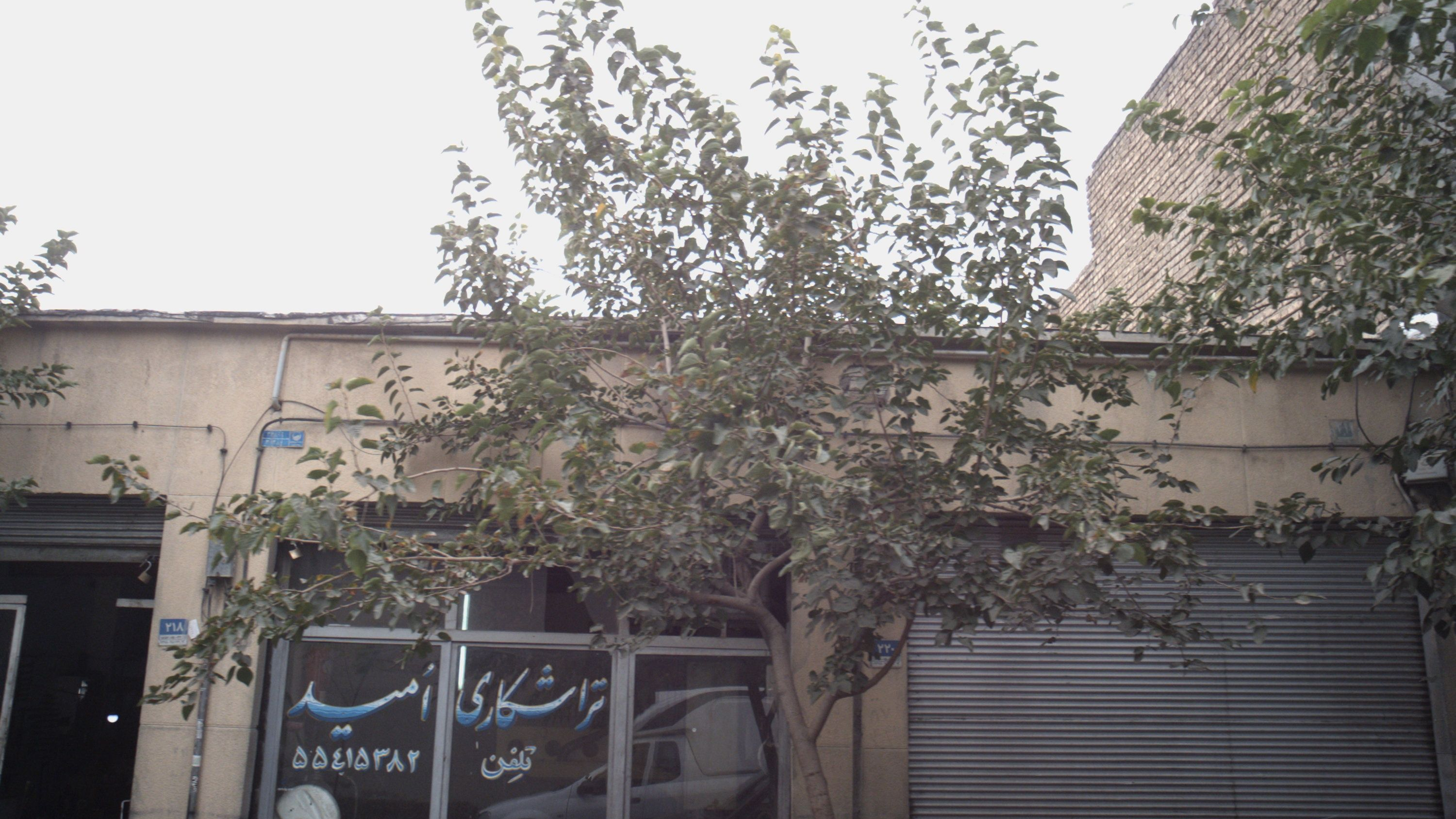 تراشکاری امید