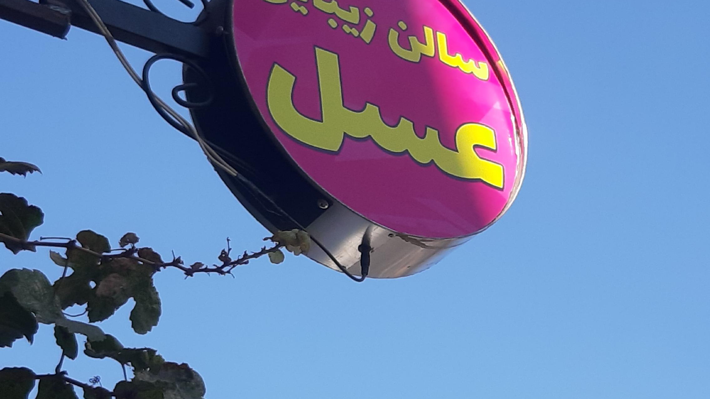 سالن زیبایی عسل