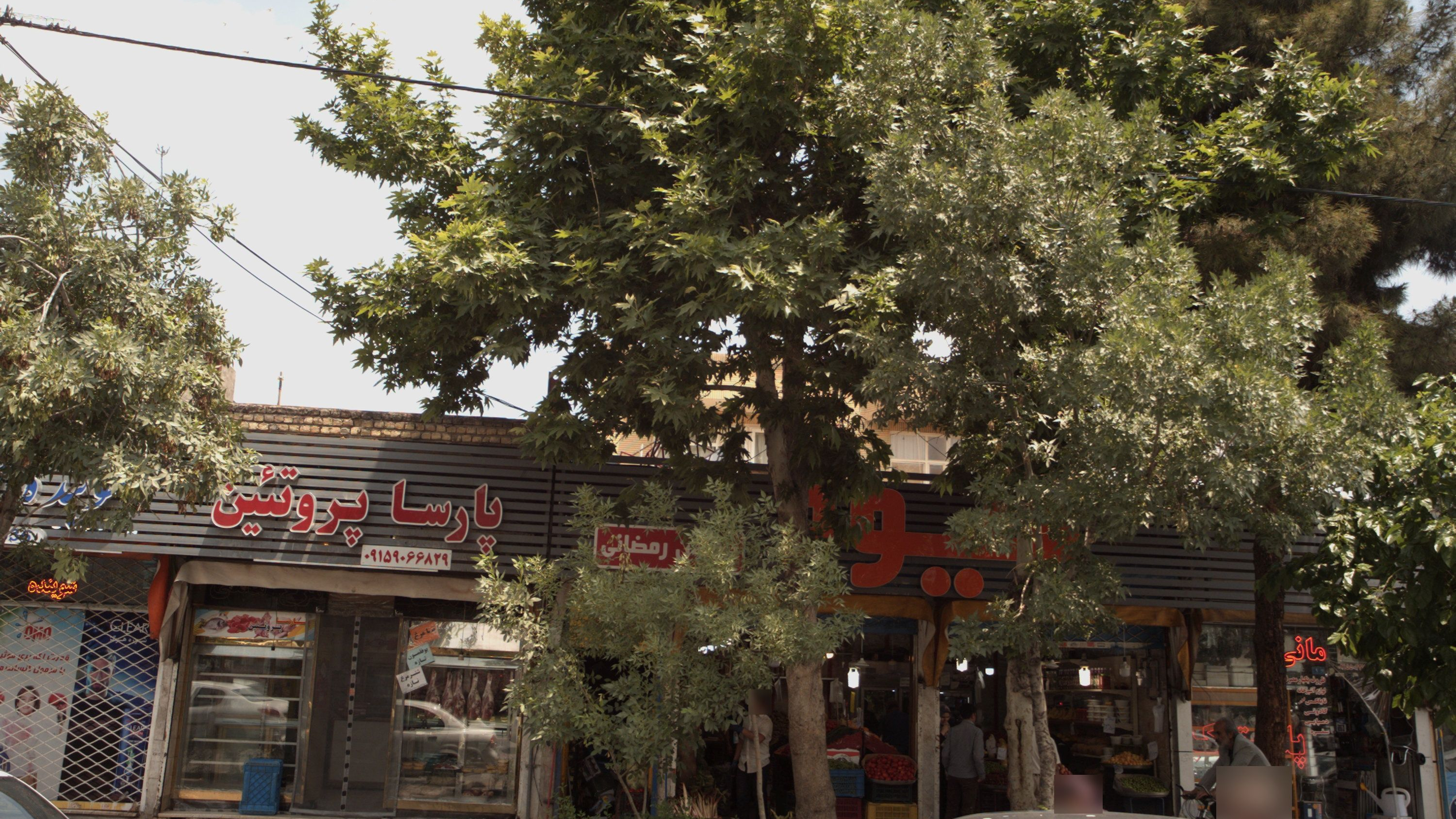 پارسا پروتئین