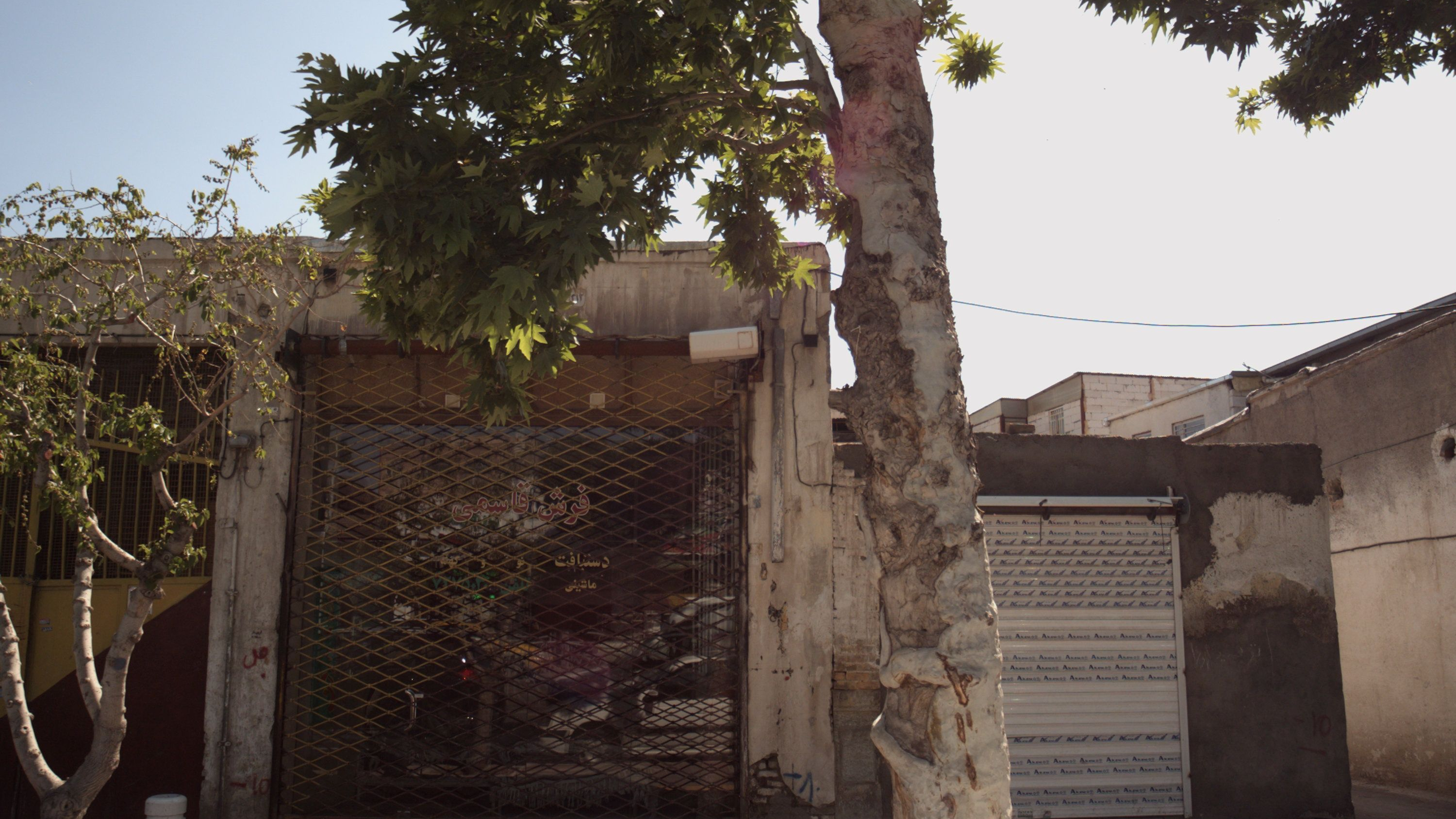 فرش قاسمی