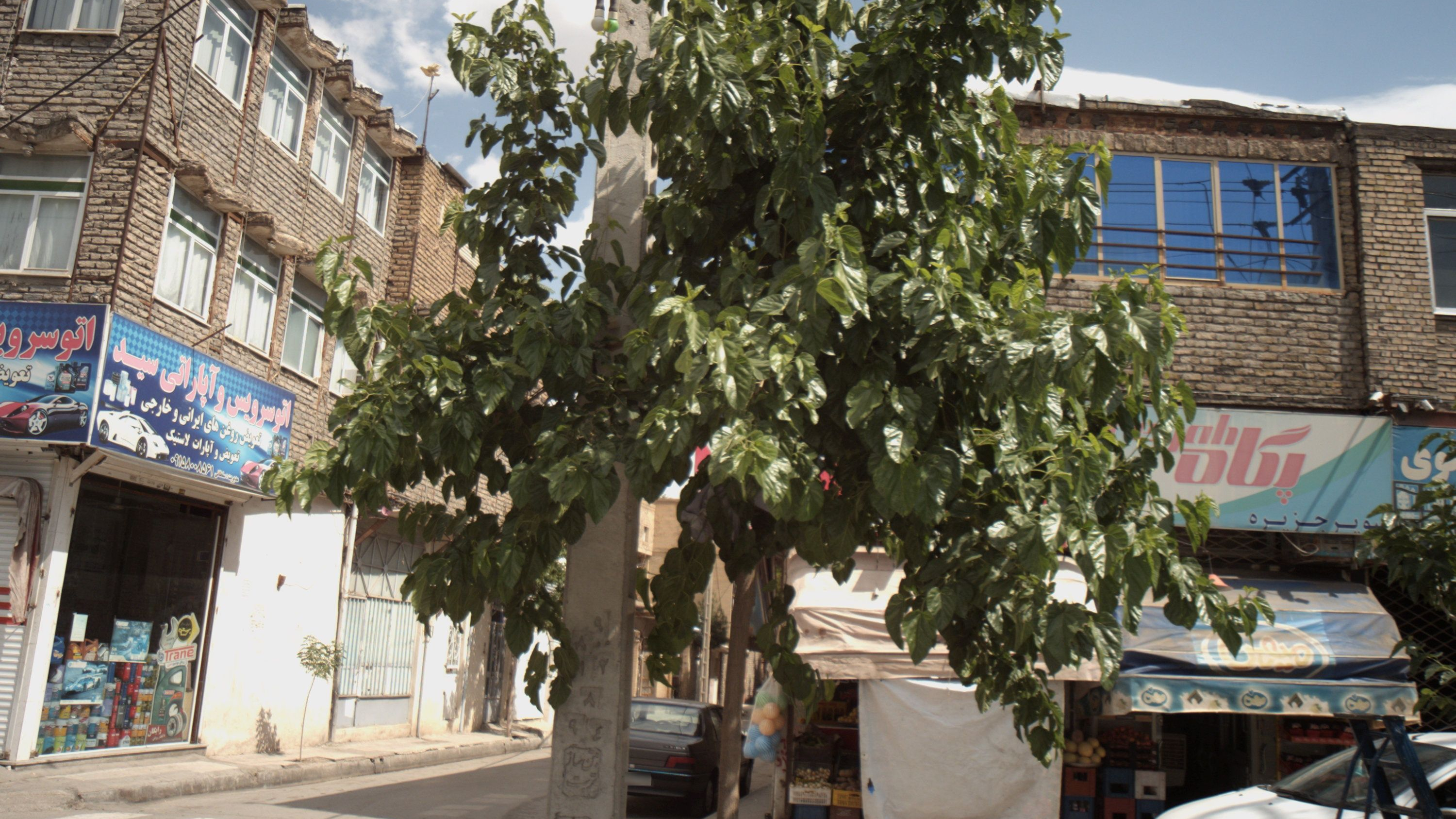 سوپر جزیره