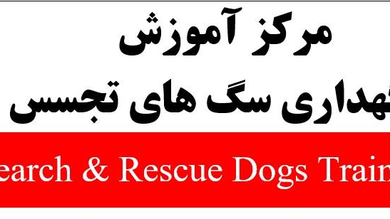 مرکز آموزش و نگهداری سگ های تجسس (آنست )