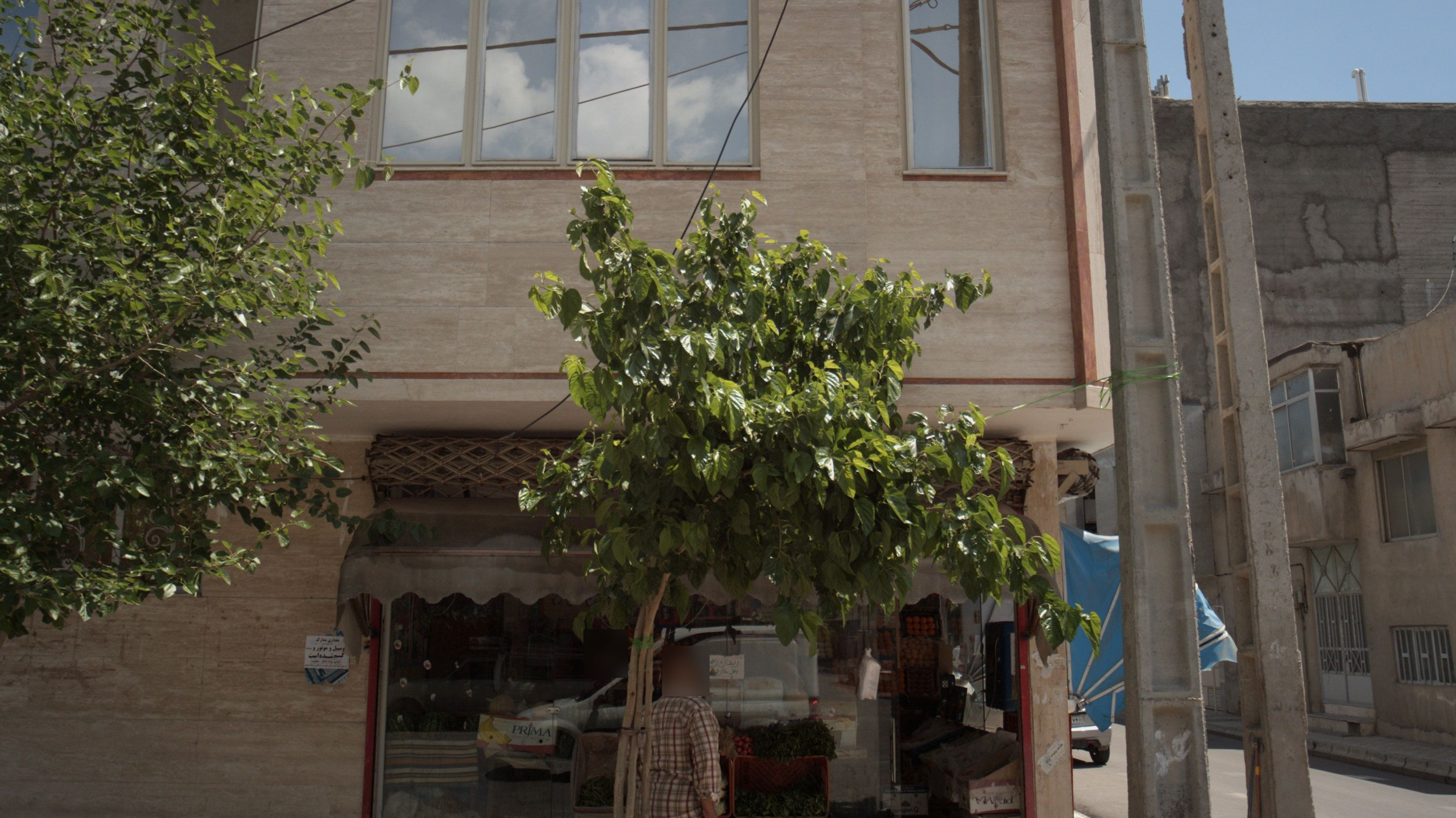 میوه فروشی