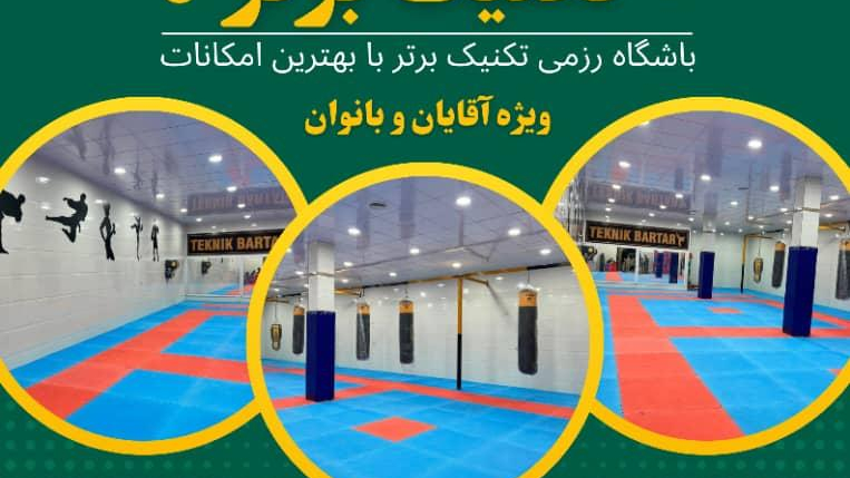 باشگاه رزمی تکنیک برتر