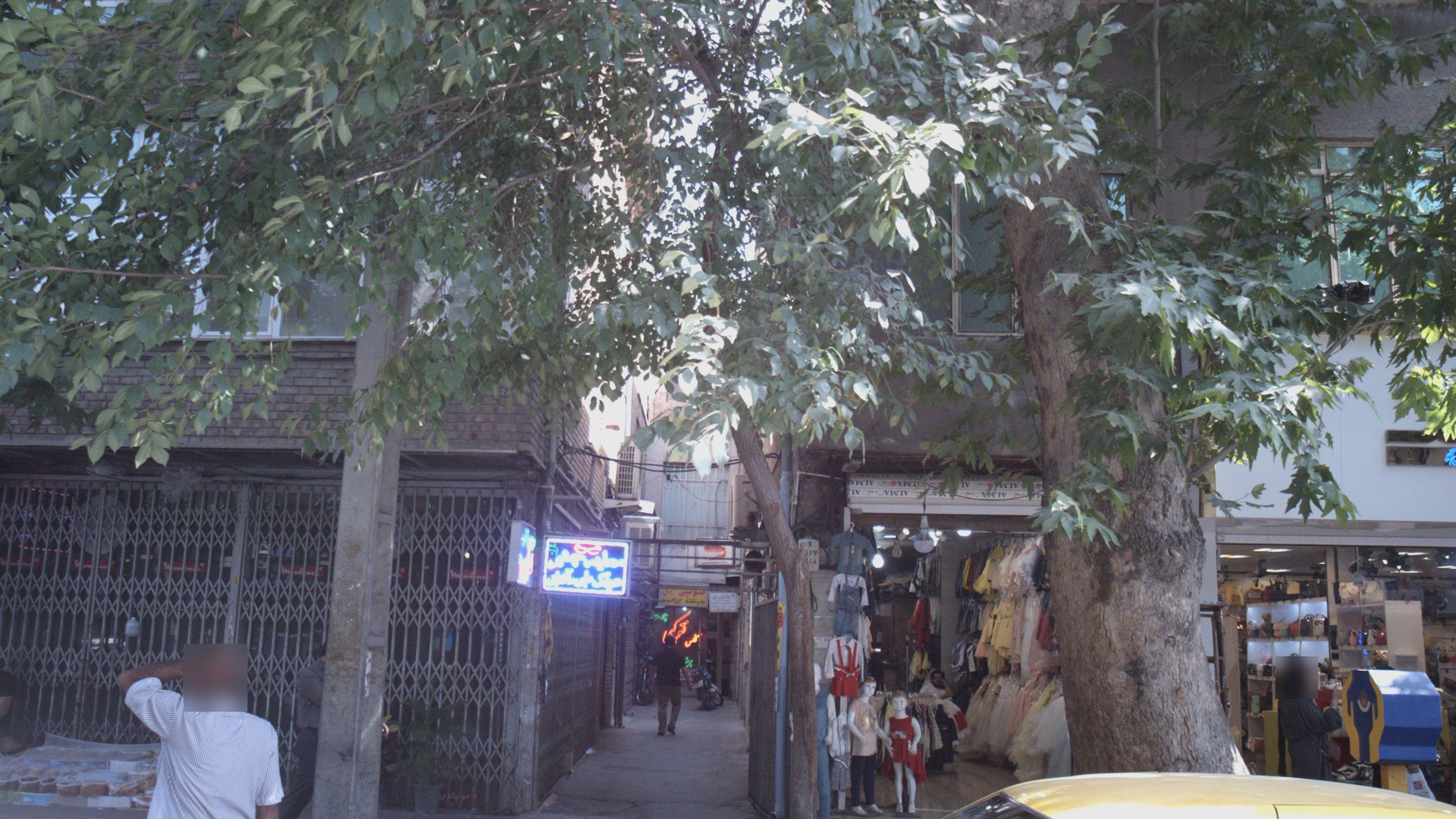 رادیولوژی ری