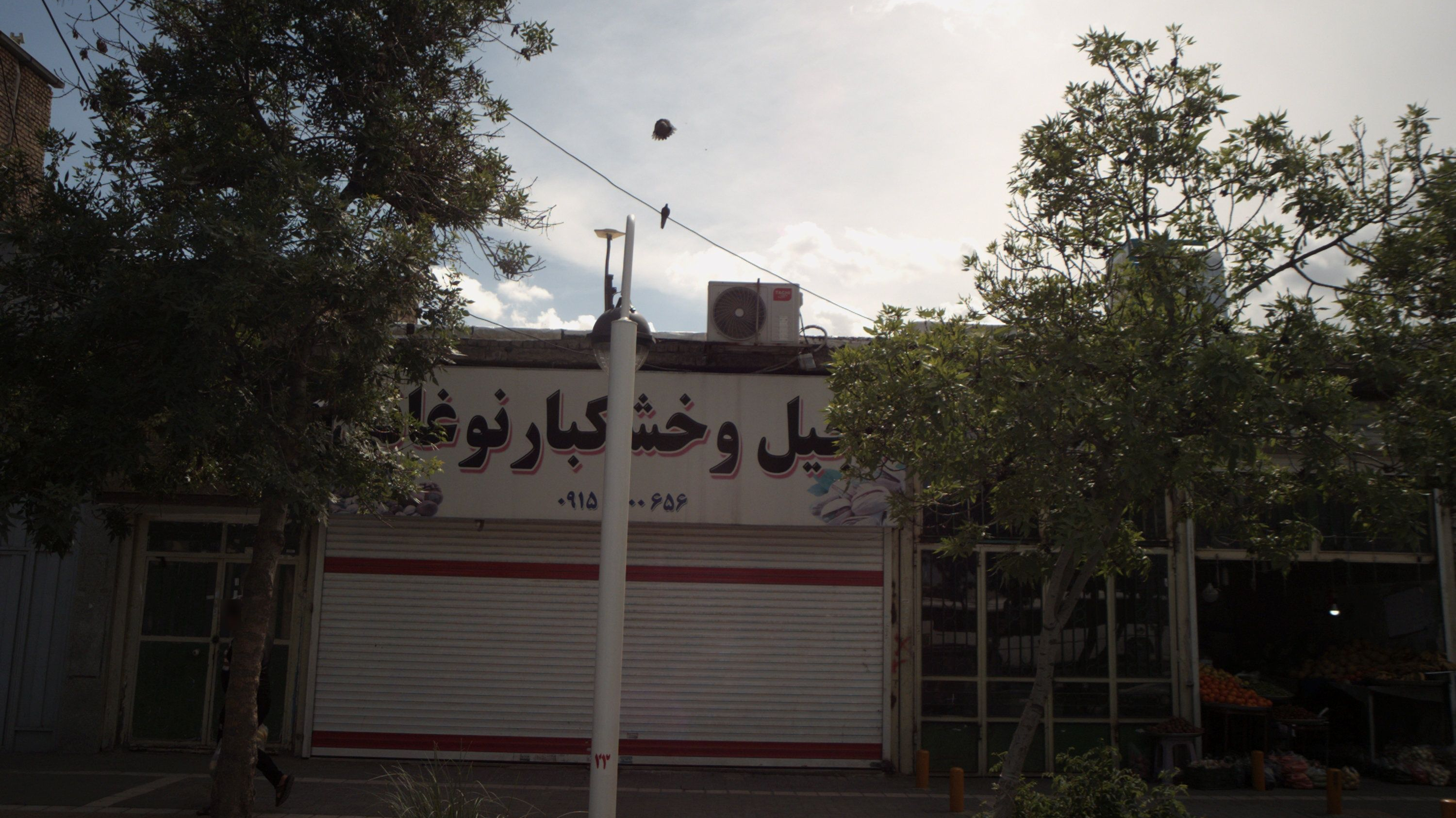 آجیل و خشکبار نوغانی