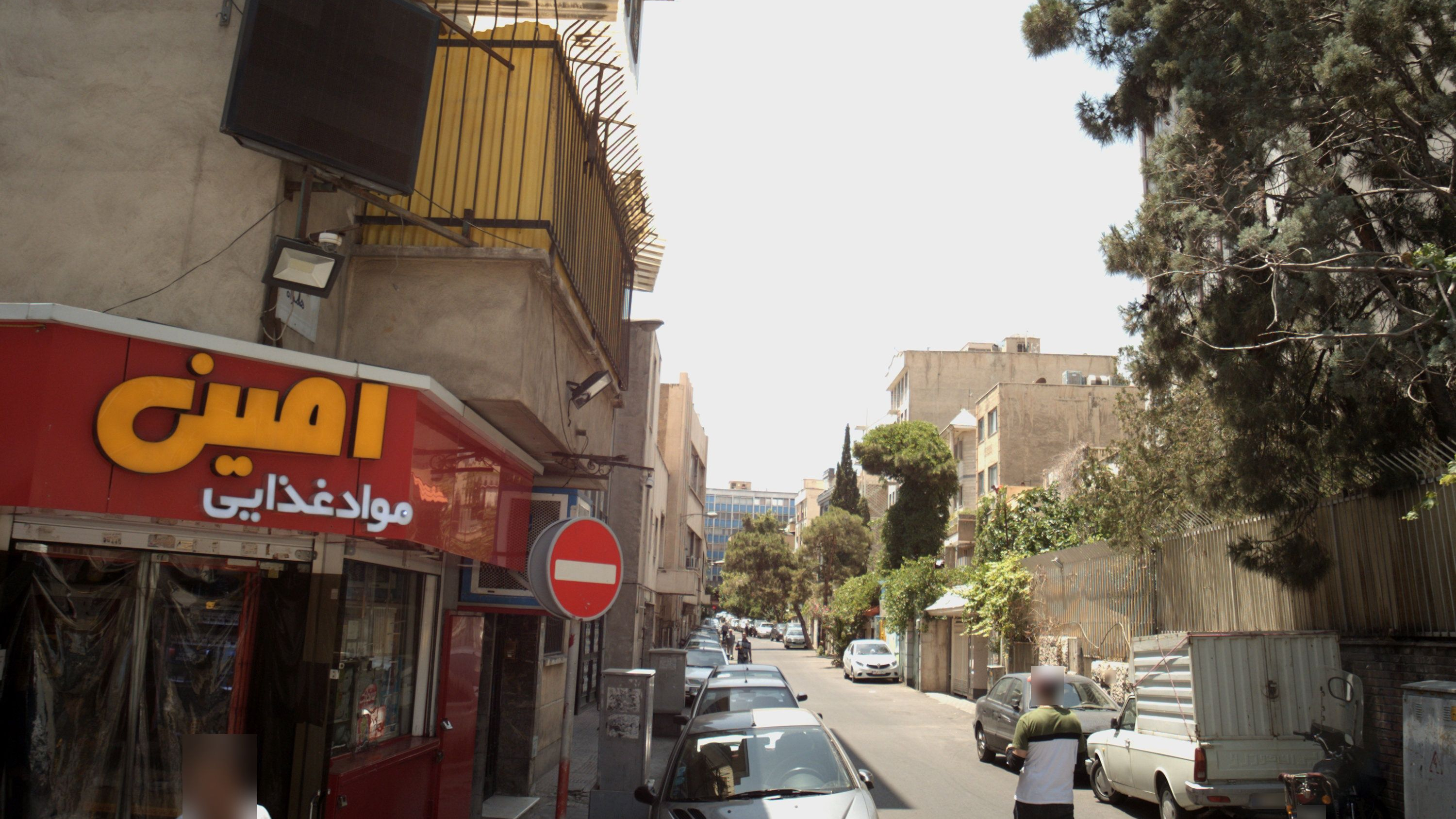 مواد غذایی امین