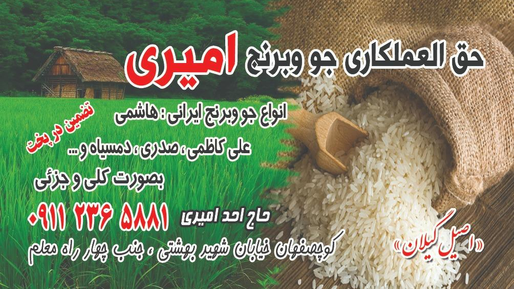 بورس جو و برنج امیری