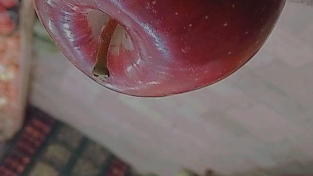 سوپرمارکت و میوه ابراهیم زاده