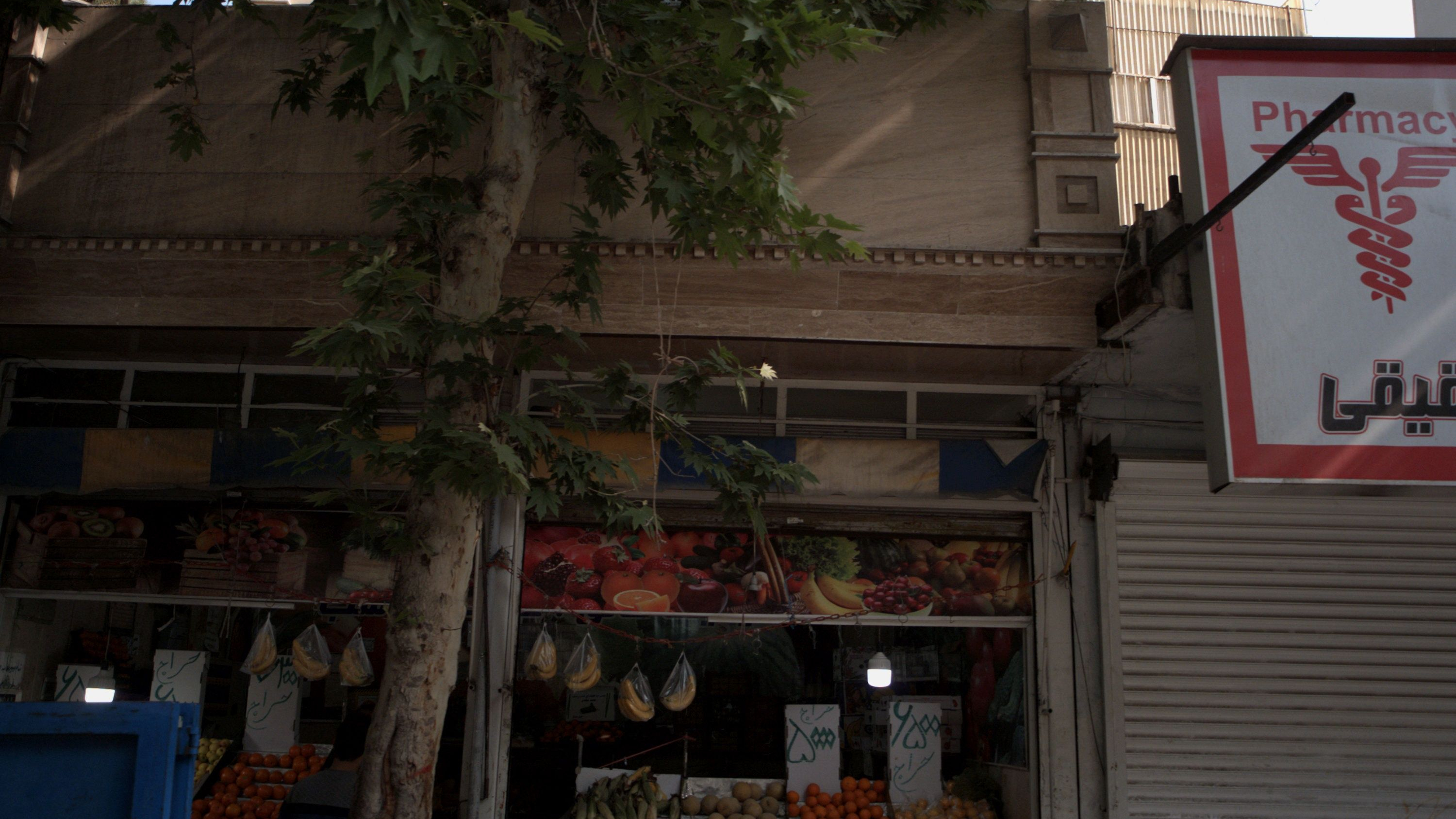 میوه فروشی