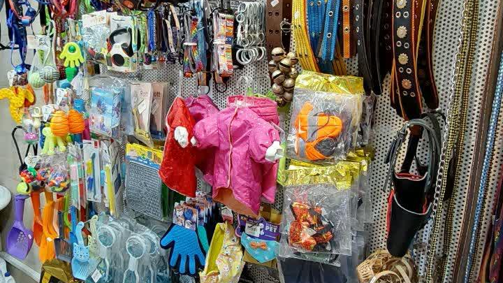 پت شاپ سیتی