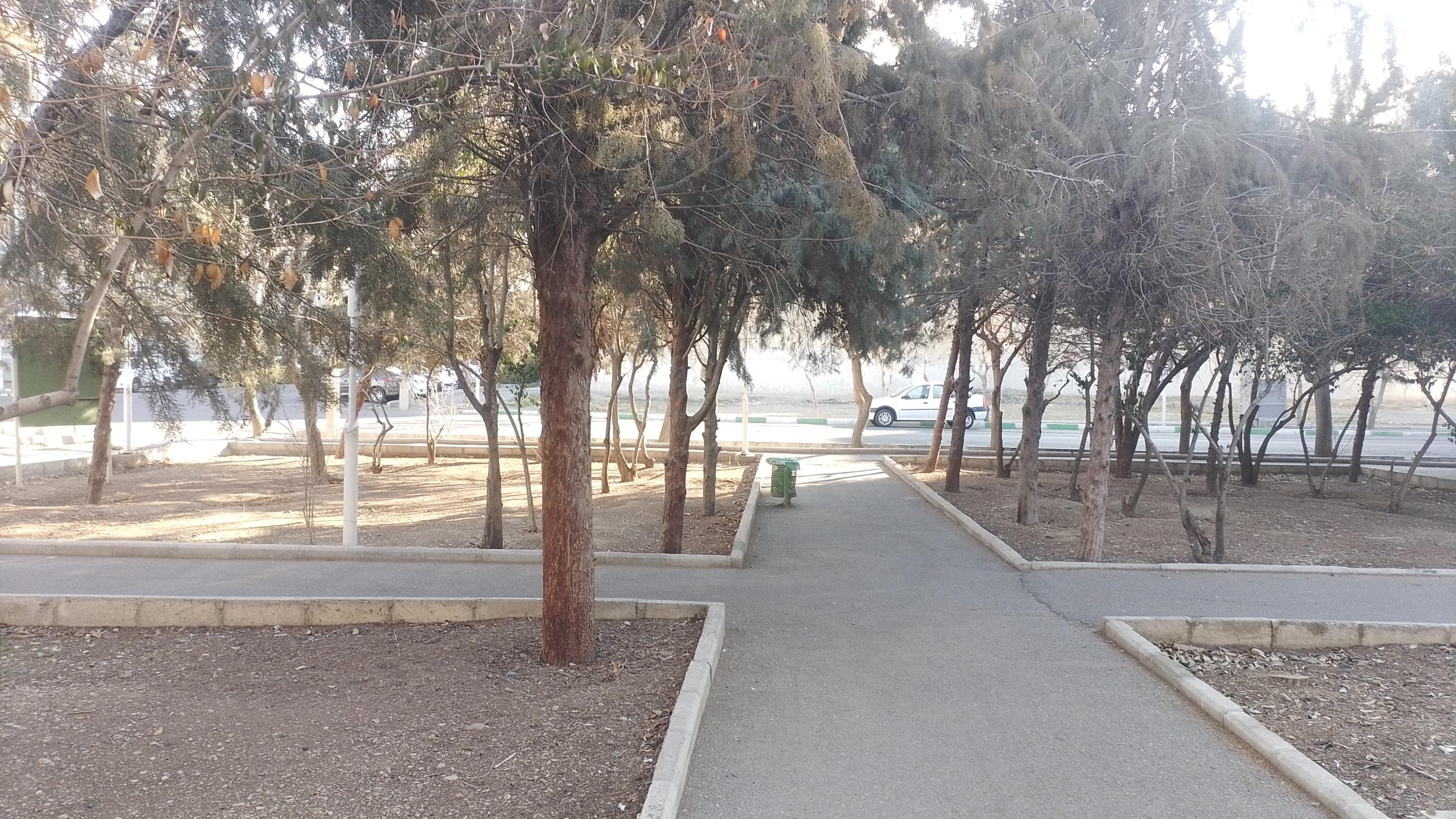 بوستان بلوط