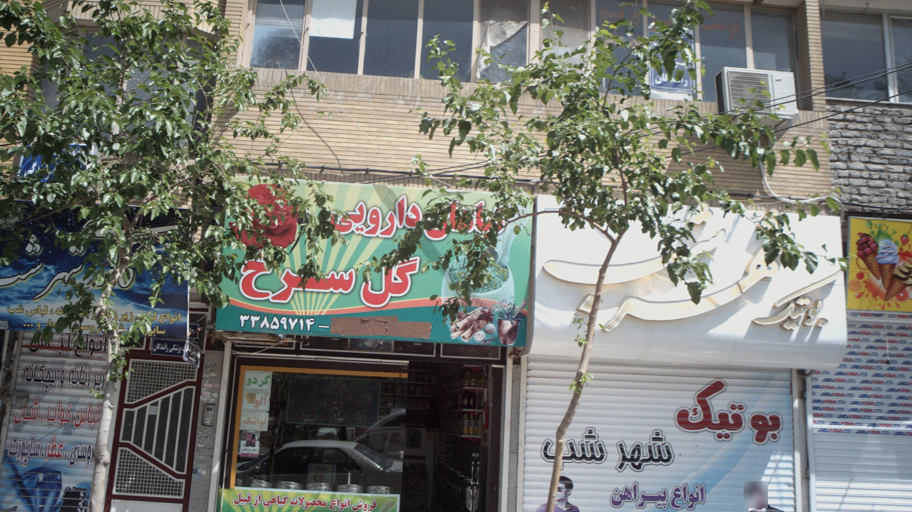 گیاهان دارویی گل سرخ