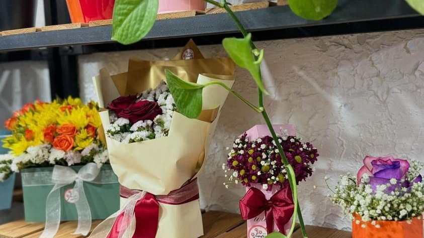 سرای گل شکوفه گیلاس