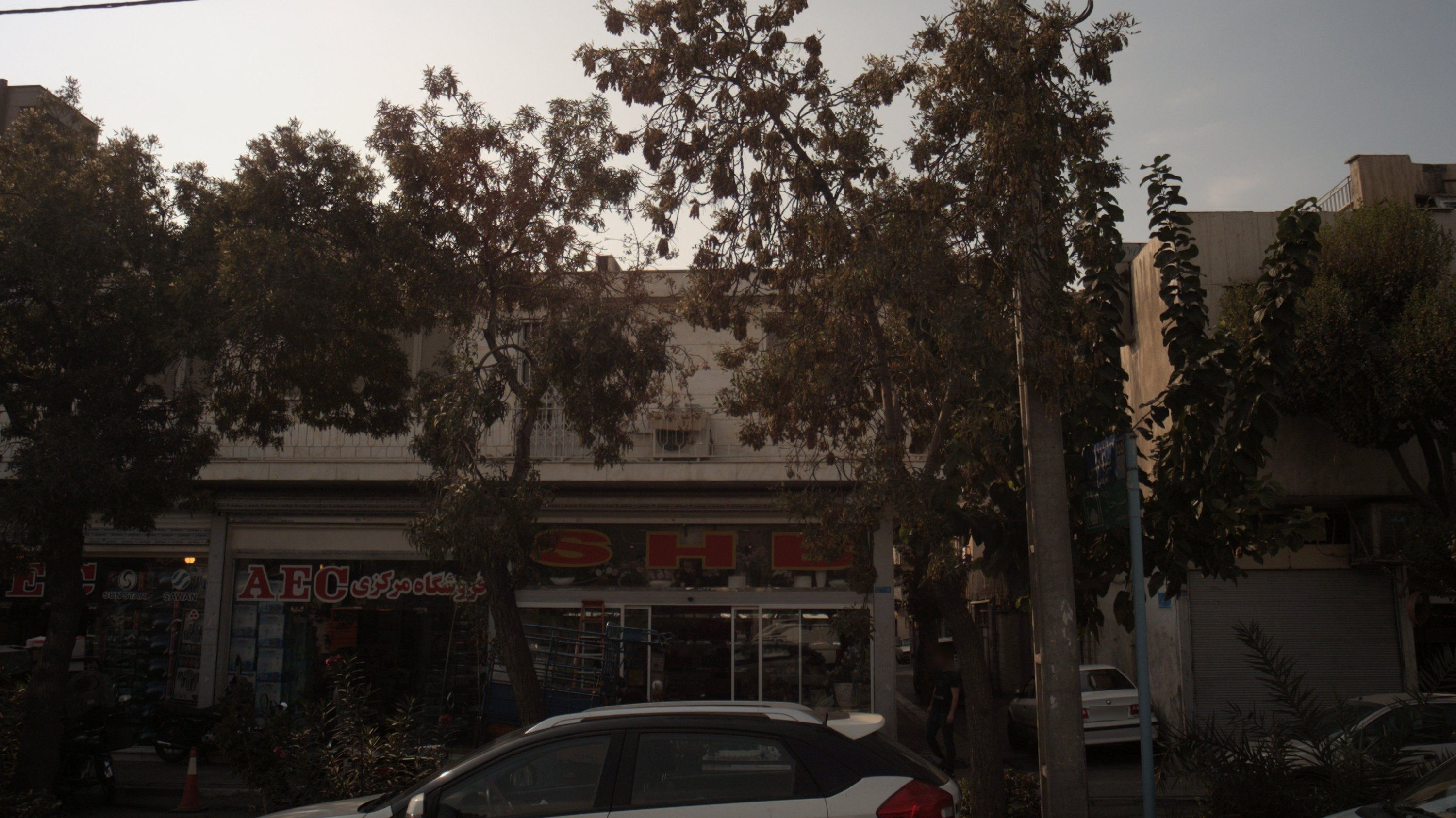 گل فروشی