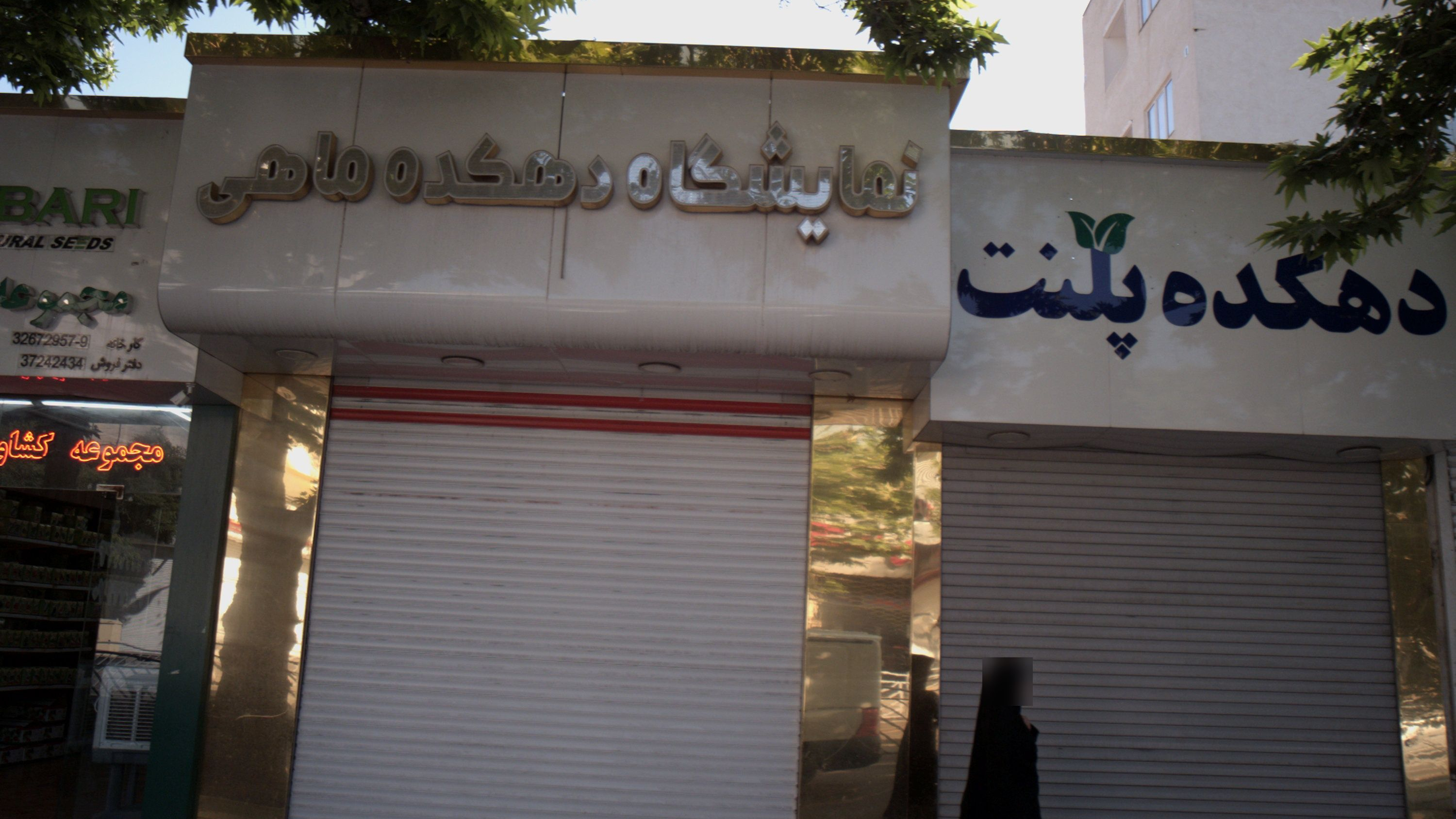 فروشگاه آکواریوم دهکده پلنت
