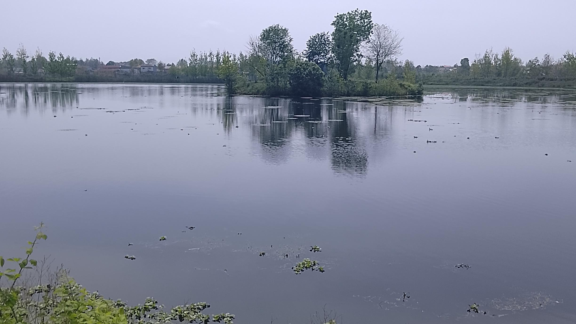 باغ پرندگان