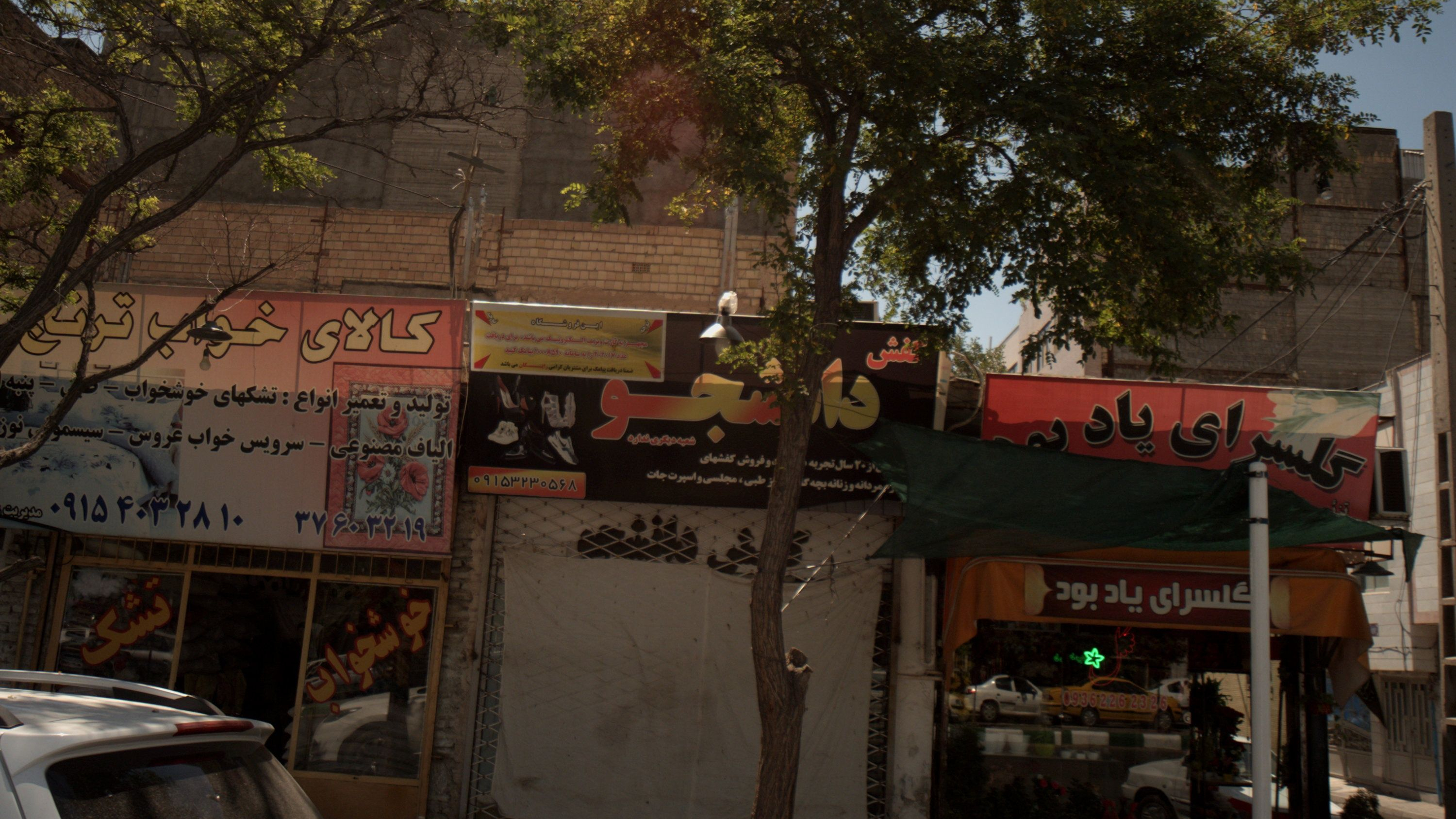 کفش دانشجو