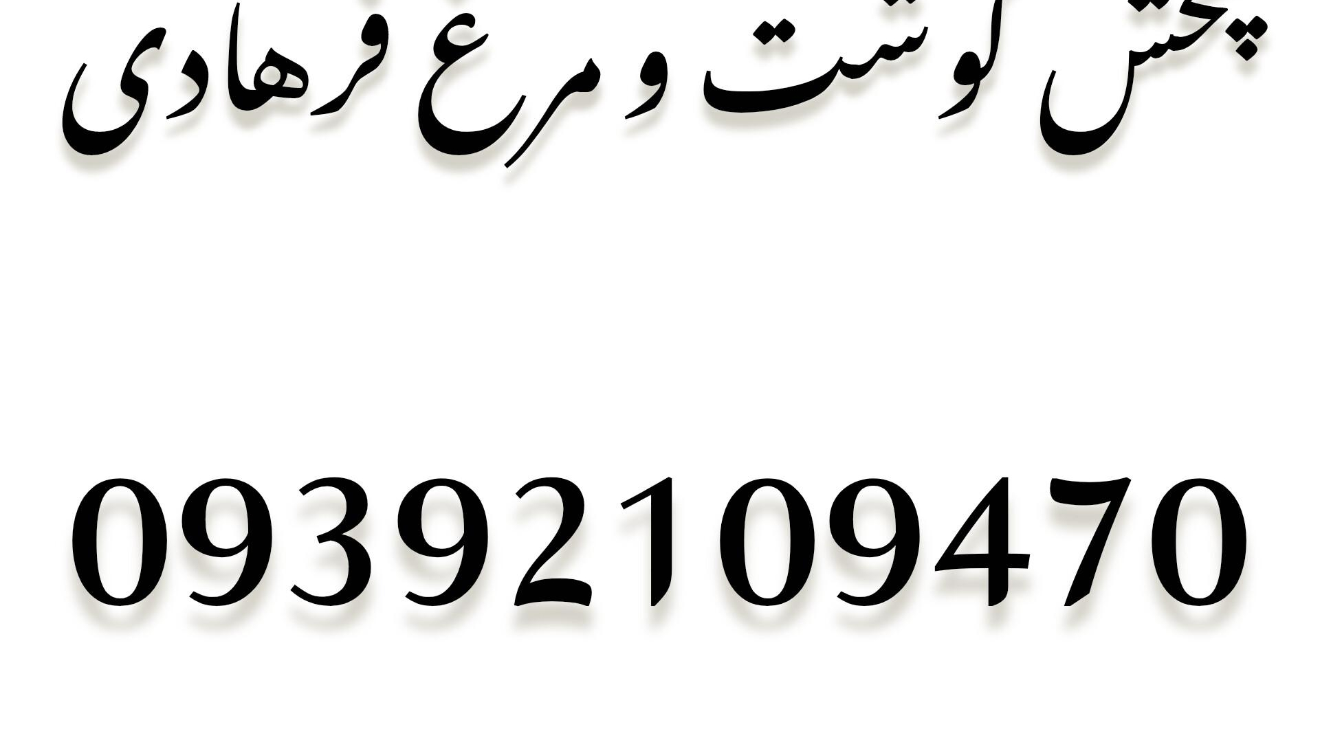 پخش گوشت و مرغ فرهادی