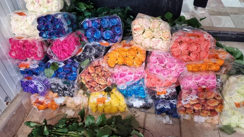گل سرای سوگل