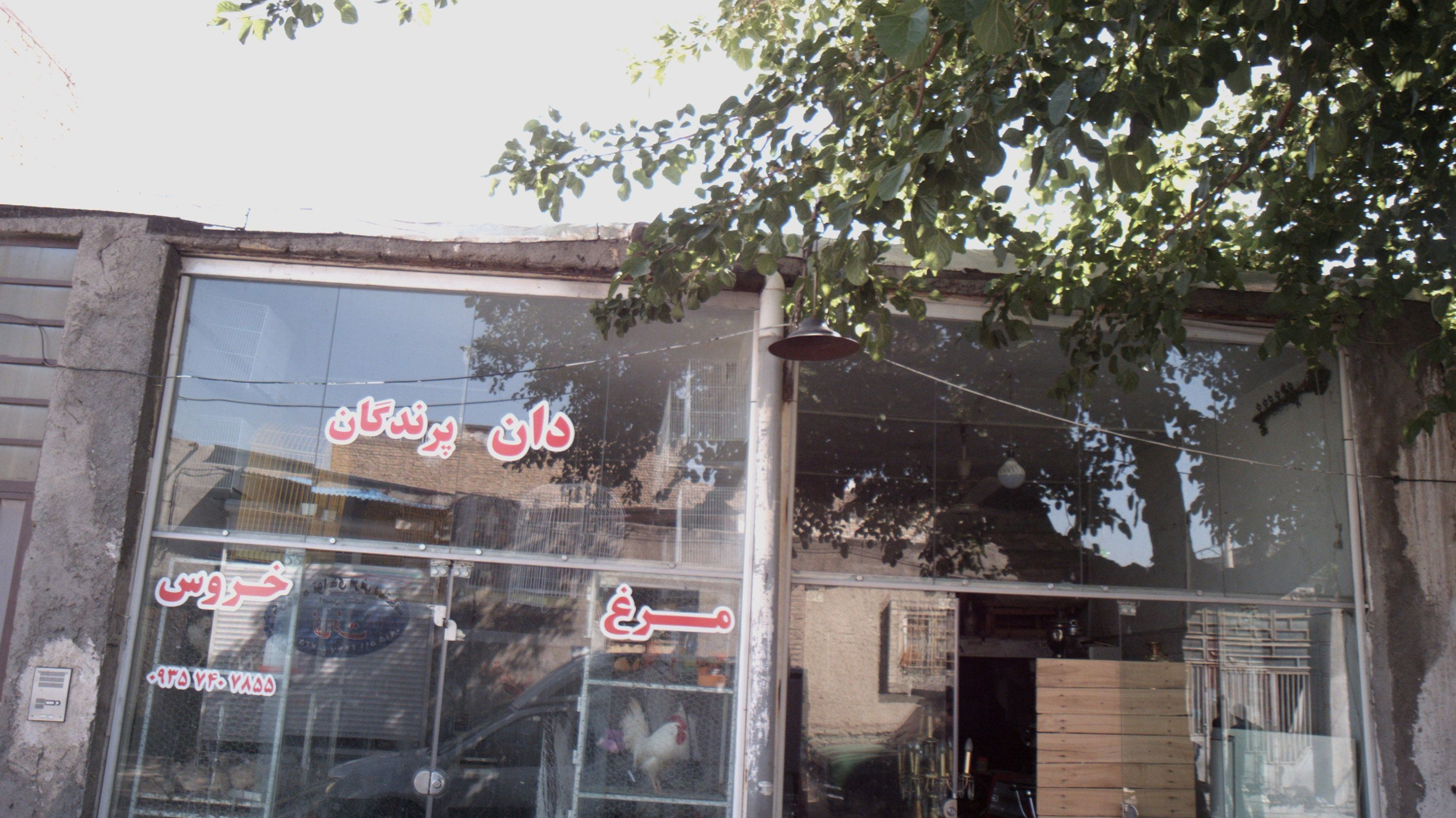 سمساری
