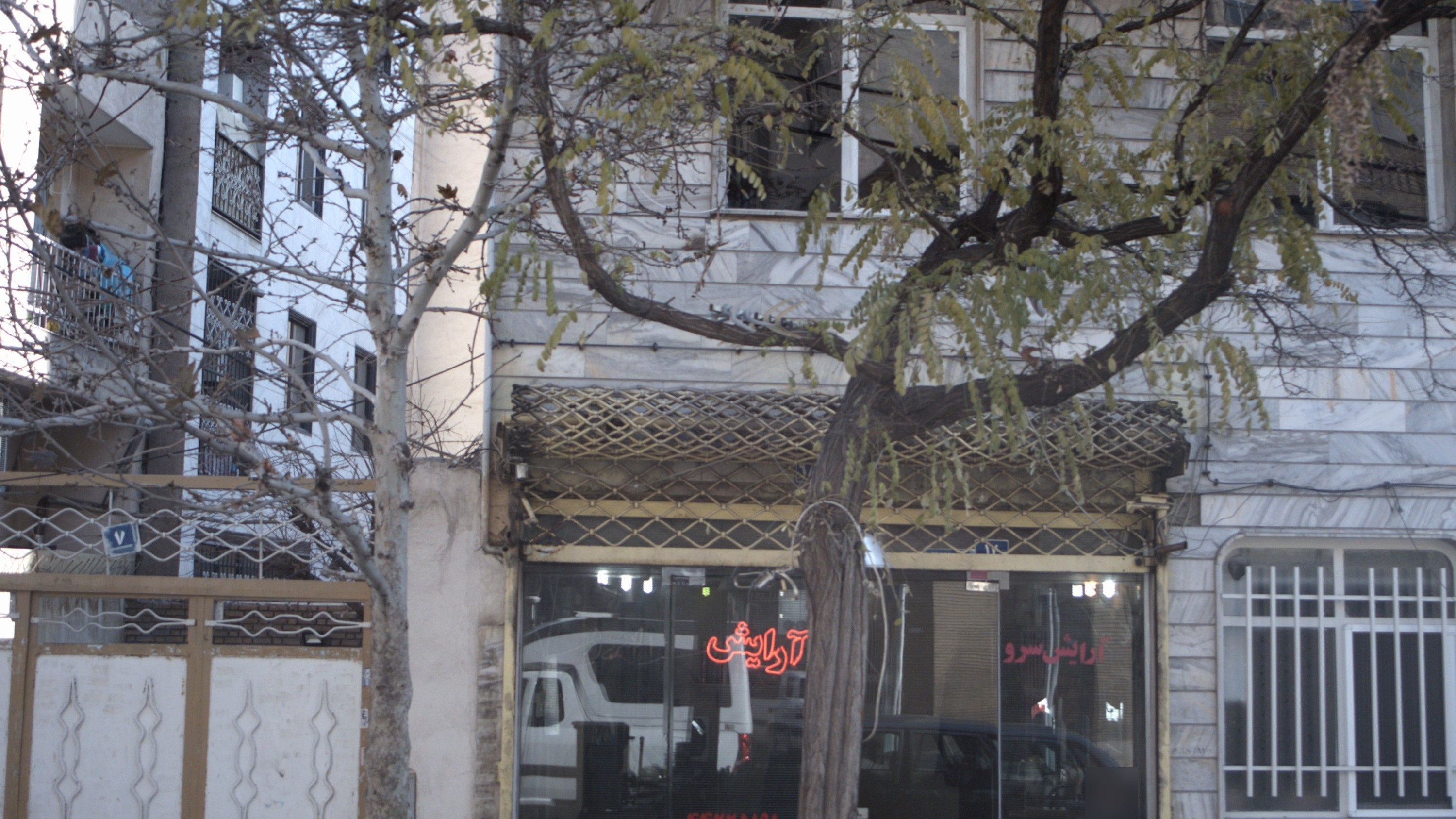 آرایش سرو