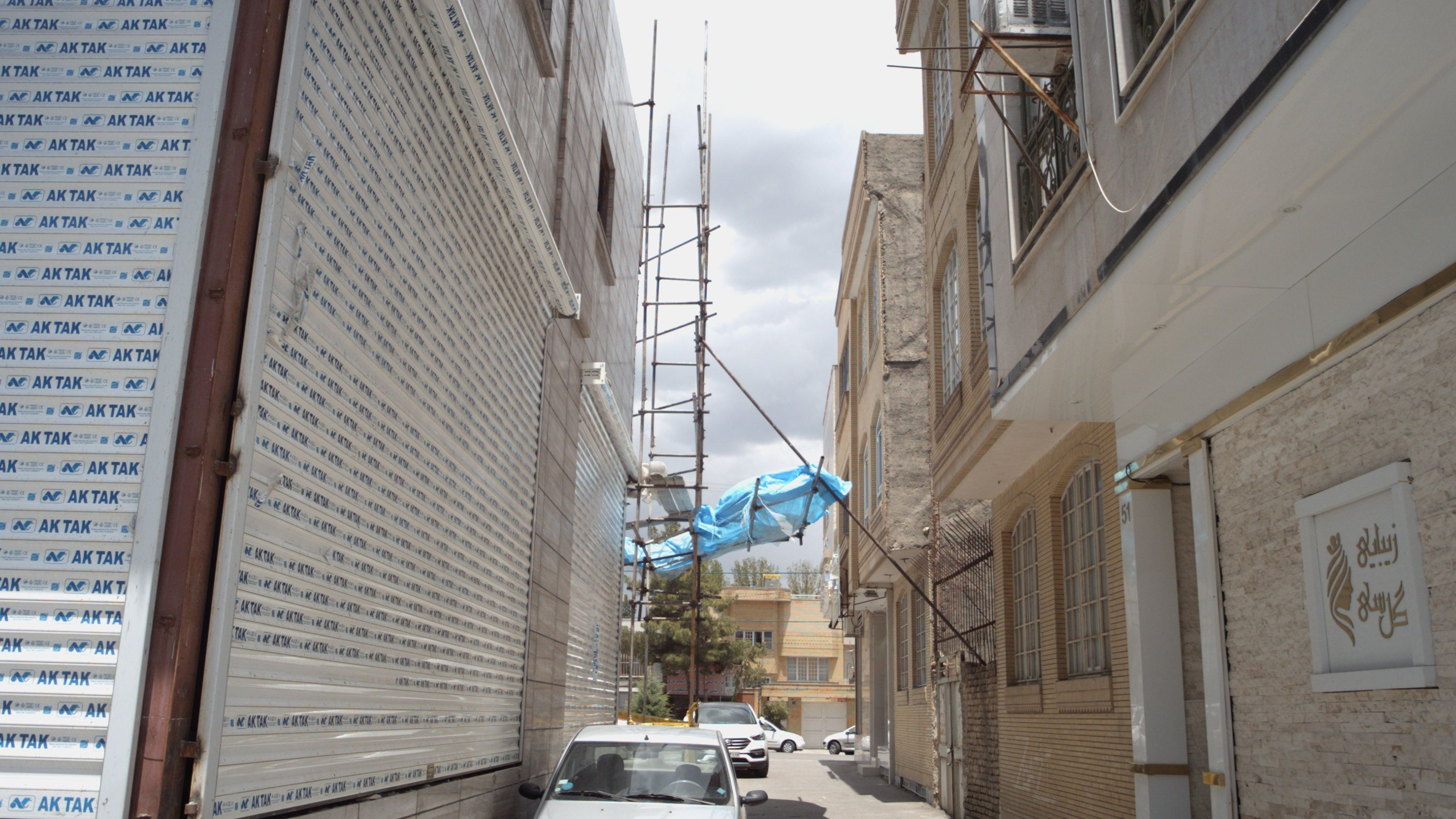 زیبایی گل سای