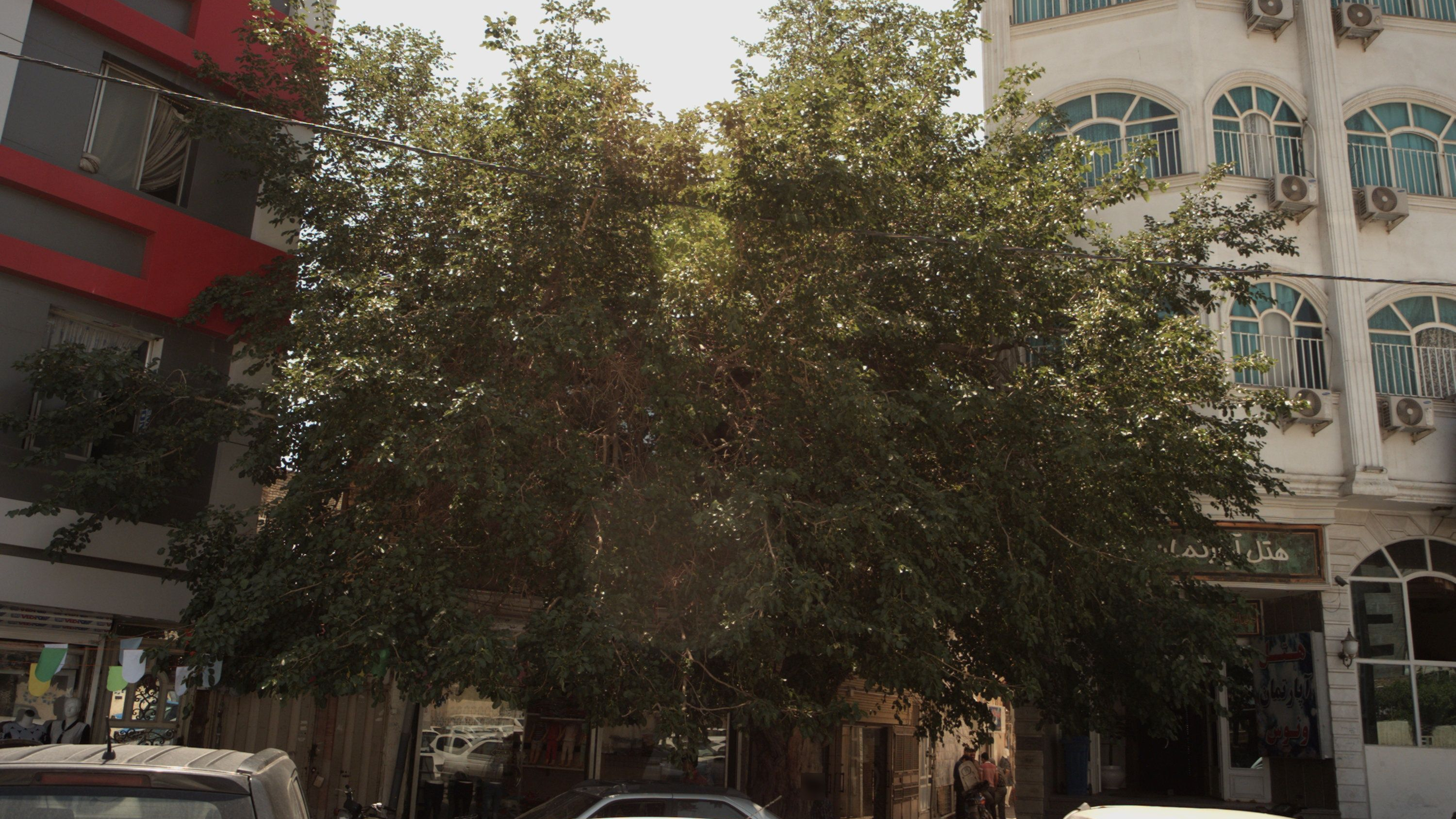 فروشگاه لباس کودک