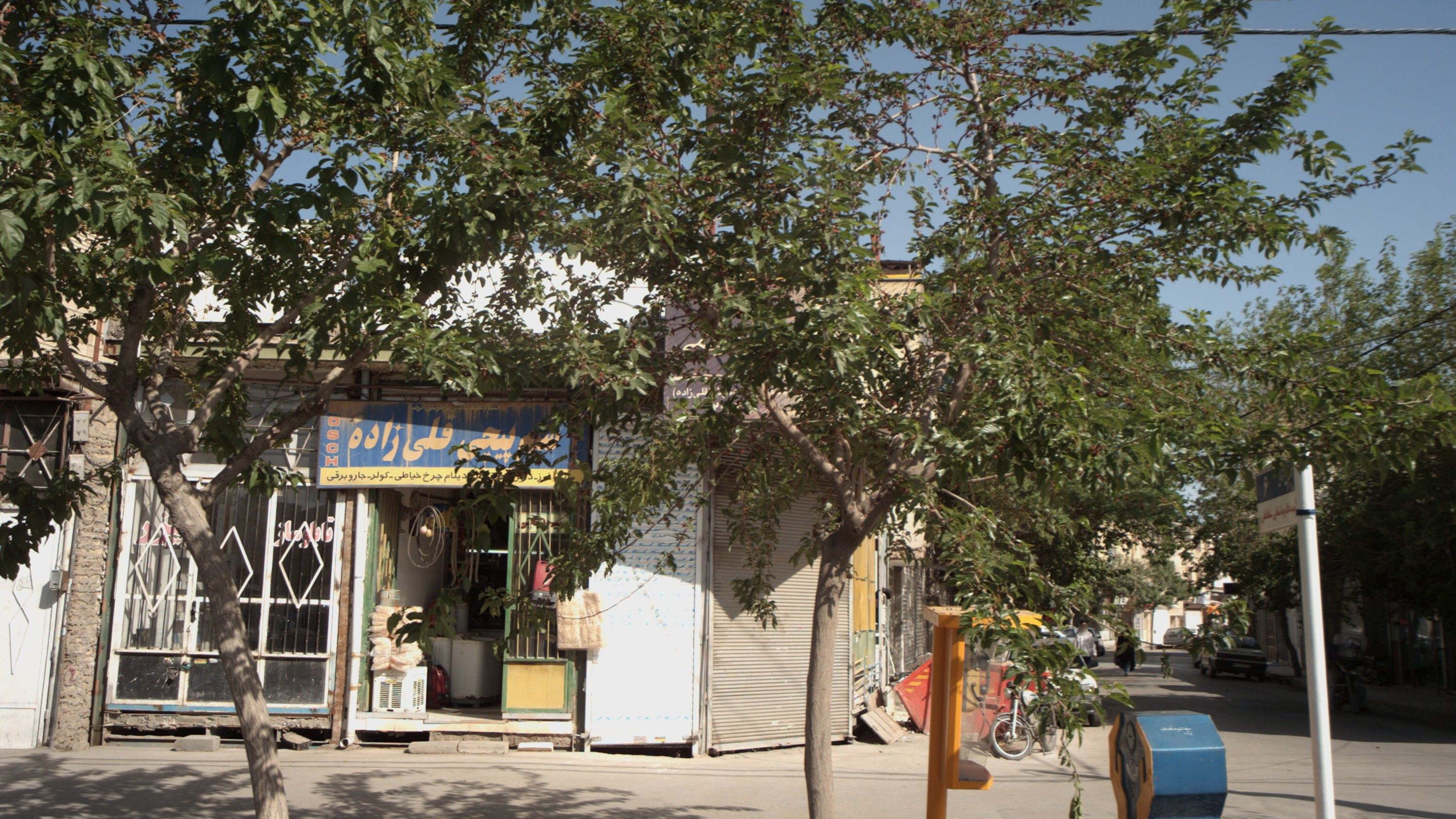 سیم پیچی قلی زاده
