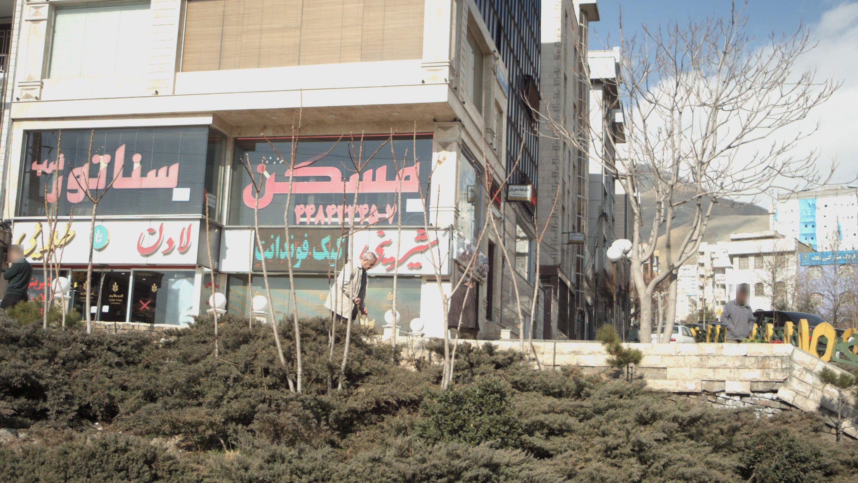 دکتر ملینا دستوریان