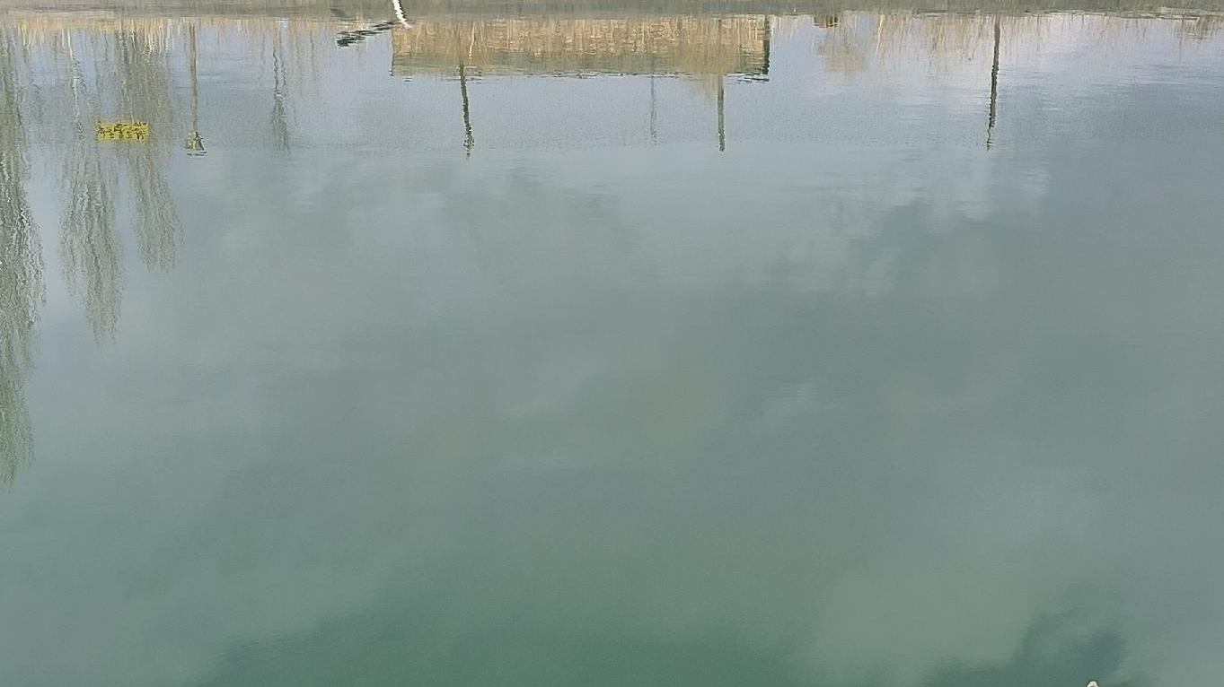استخر محسن نجف زاده