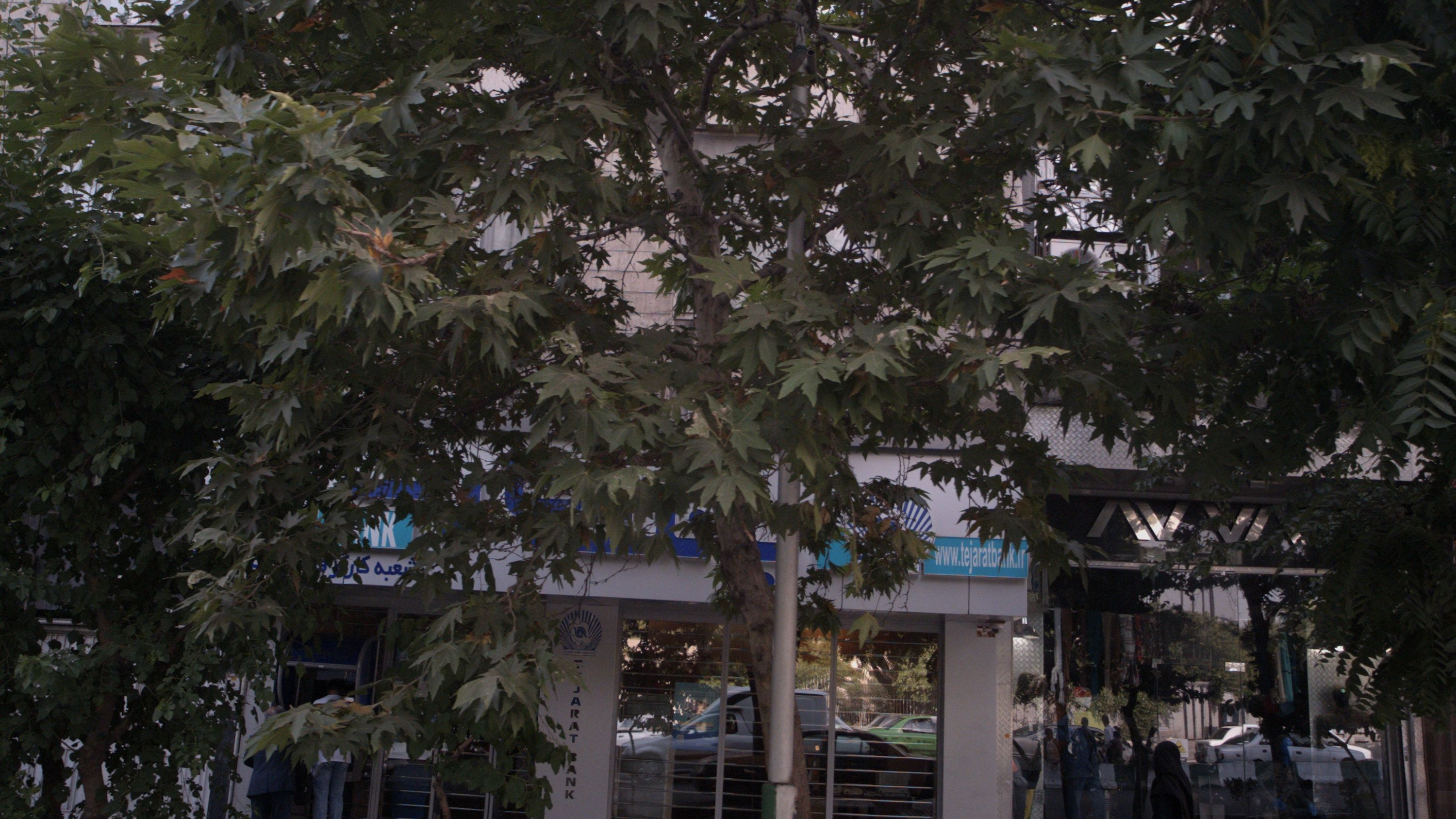 فروشگاه پوشاک