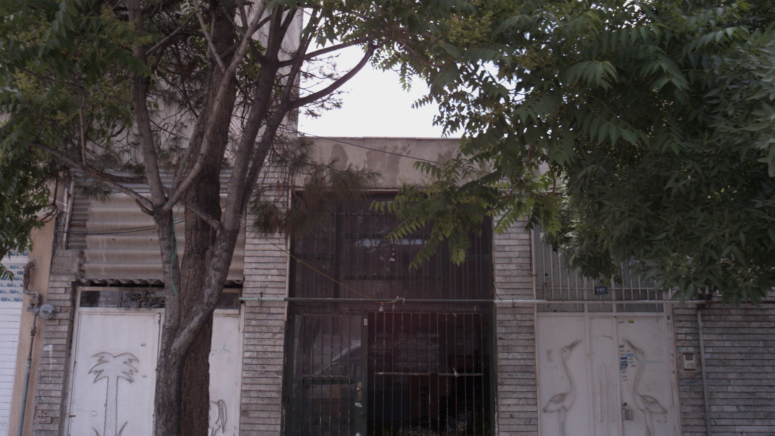 میوه فروشی