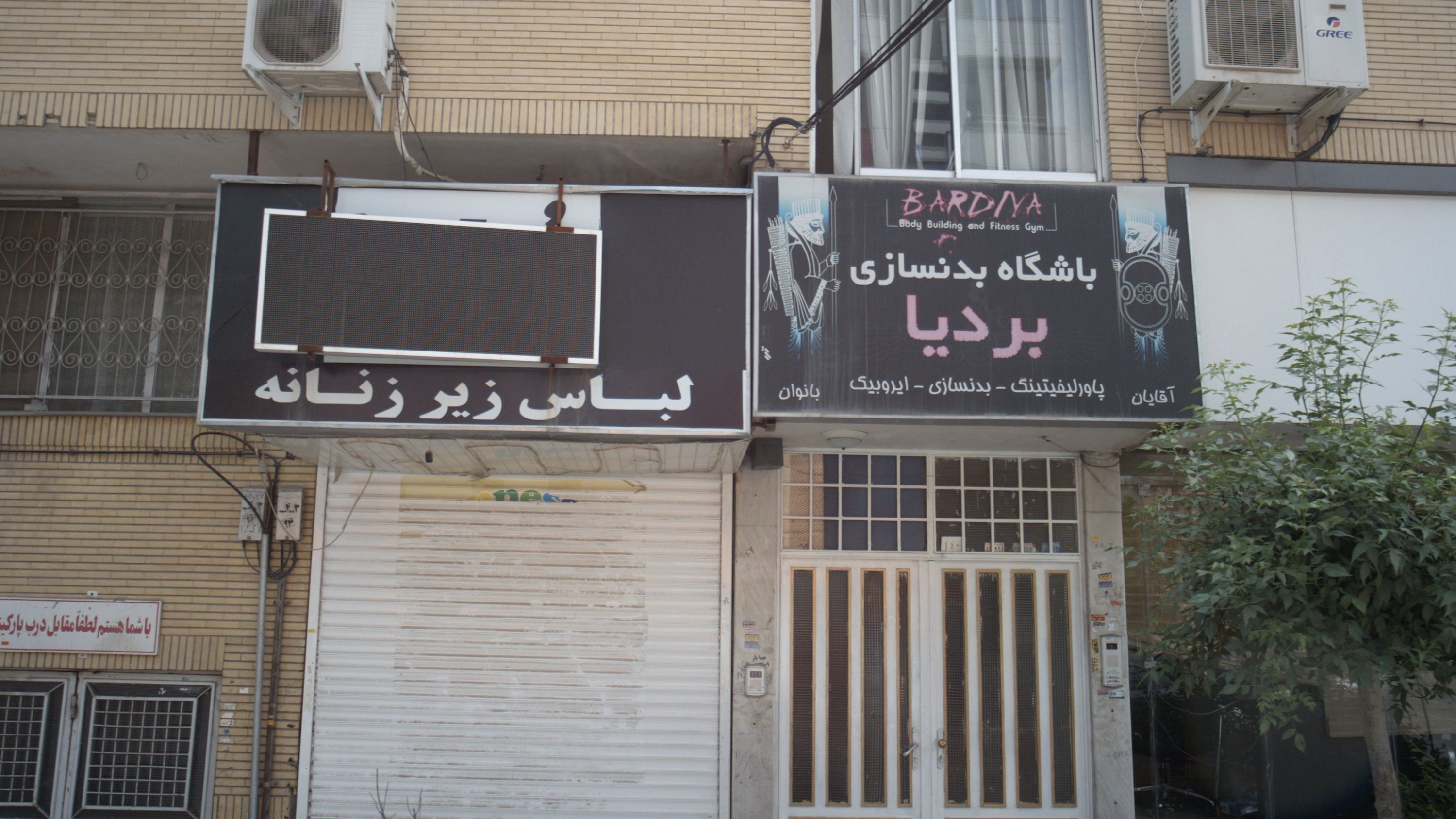 باشگاه بدنسازی بردیا