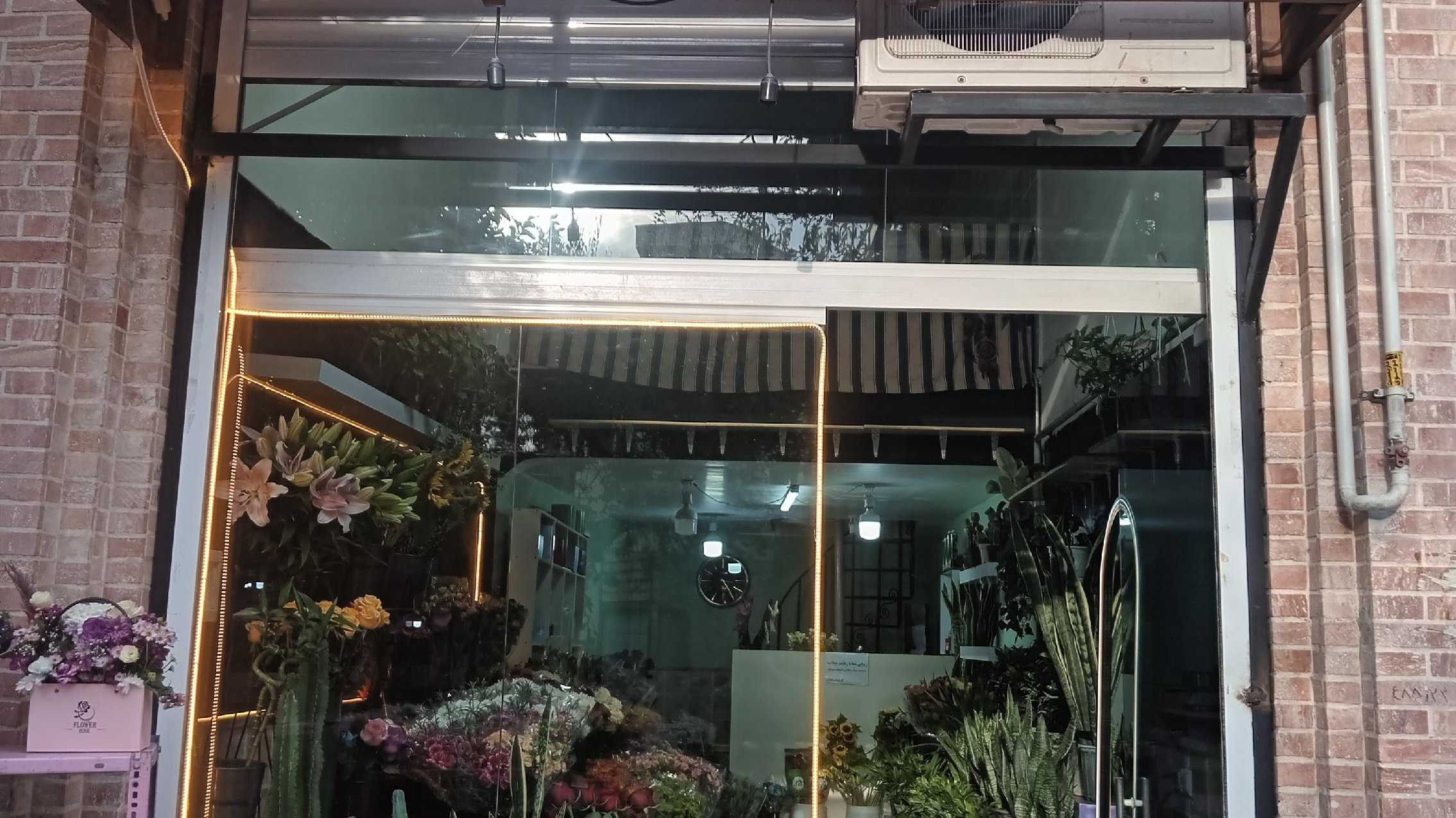 گلسرای لوتوس