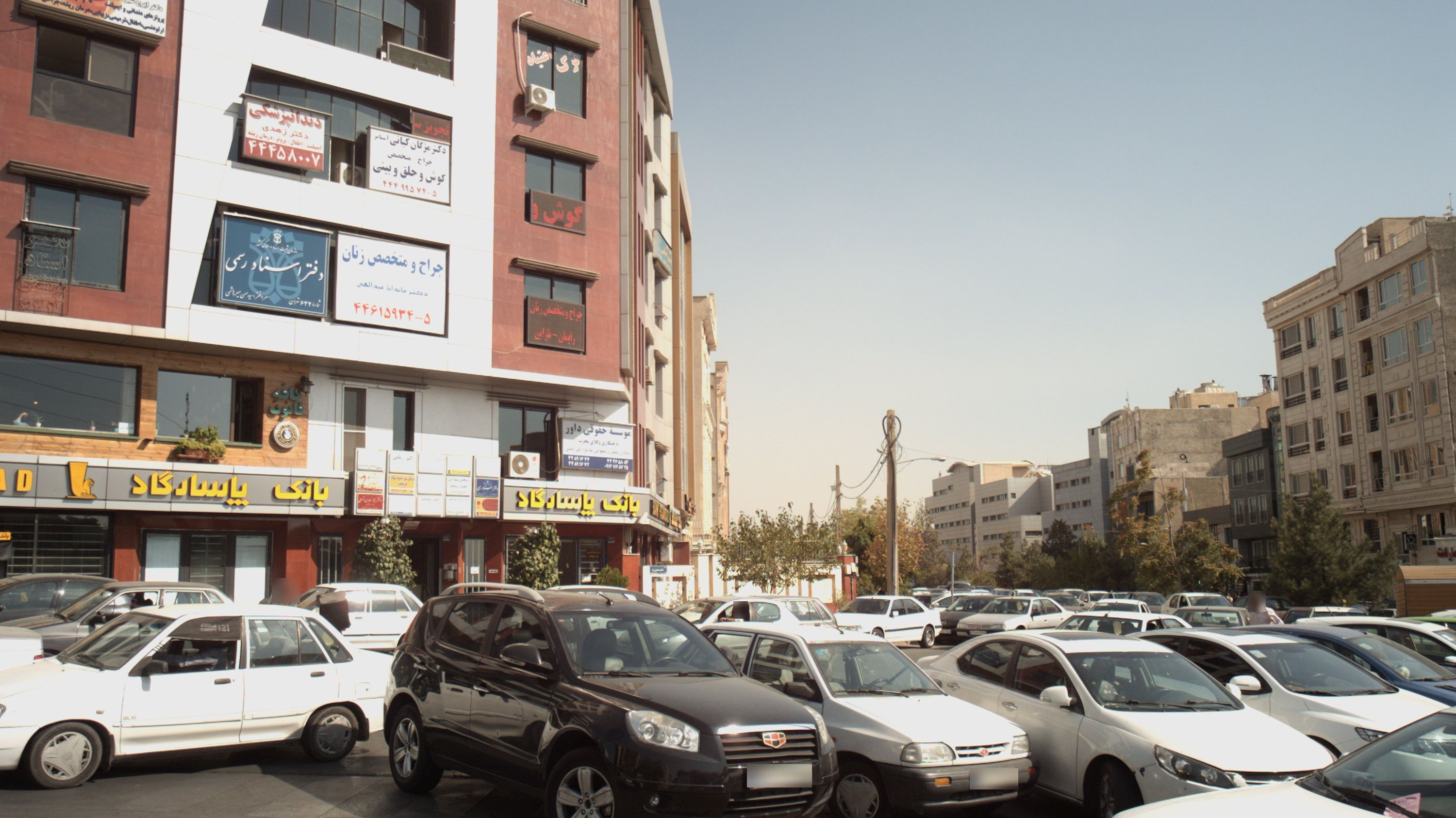 دکتر ماندانا عبدالهی