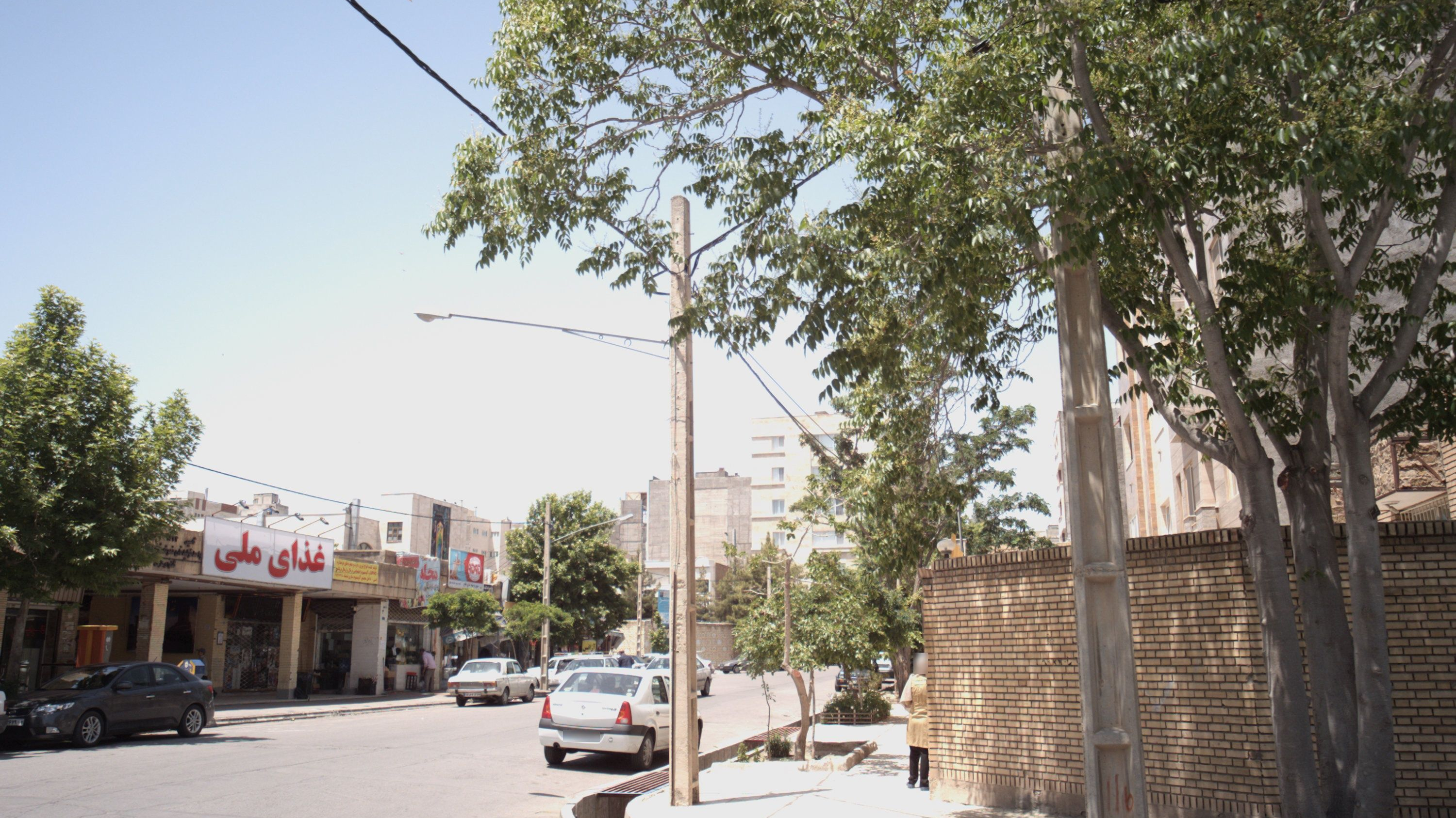 غذای ملی