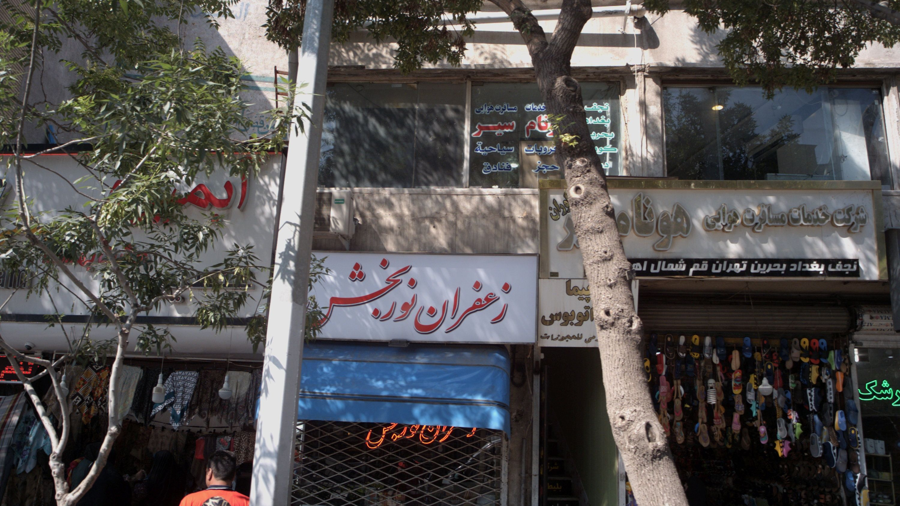 زعفران نوربخش